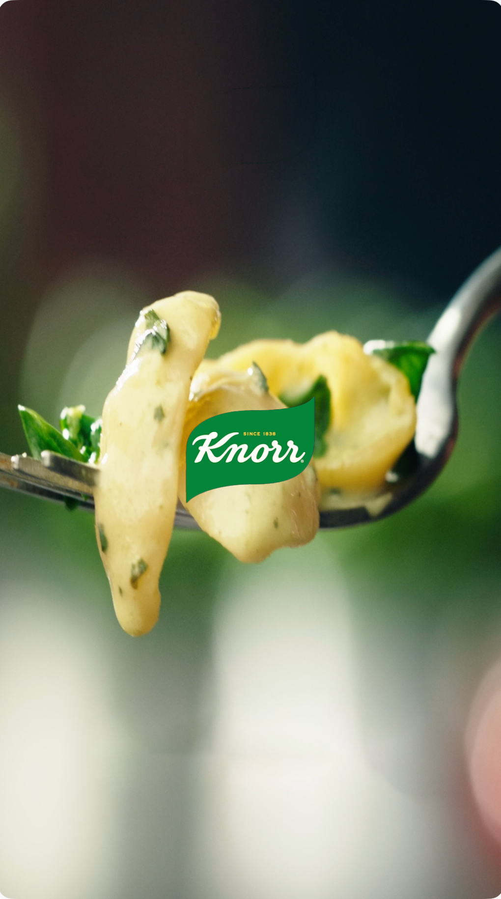 Knorr. Delicious in no time