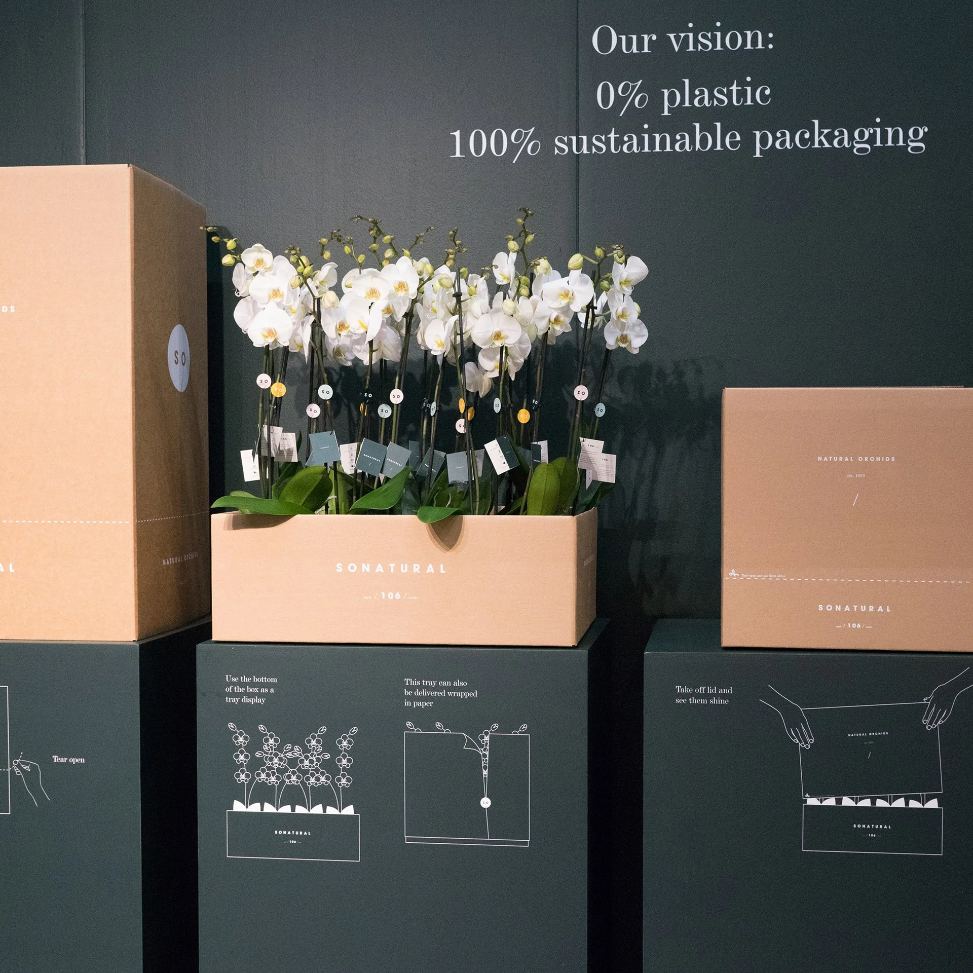 Repositioning orchids from product to lifestyle brand
