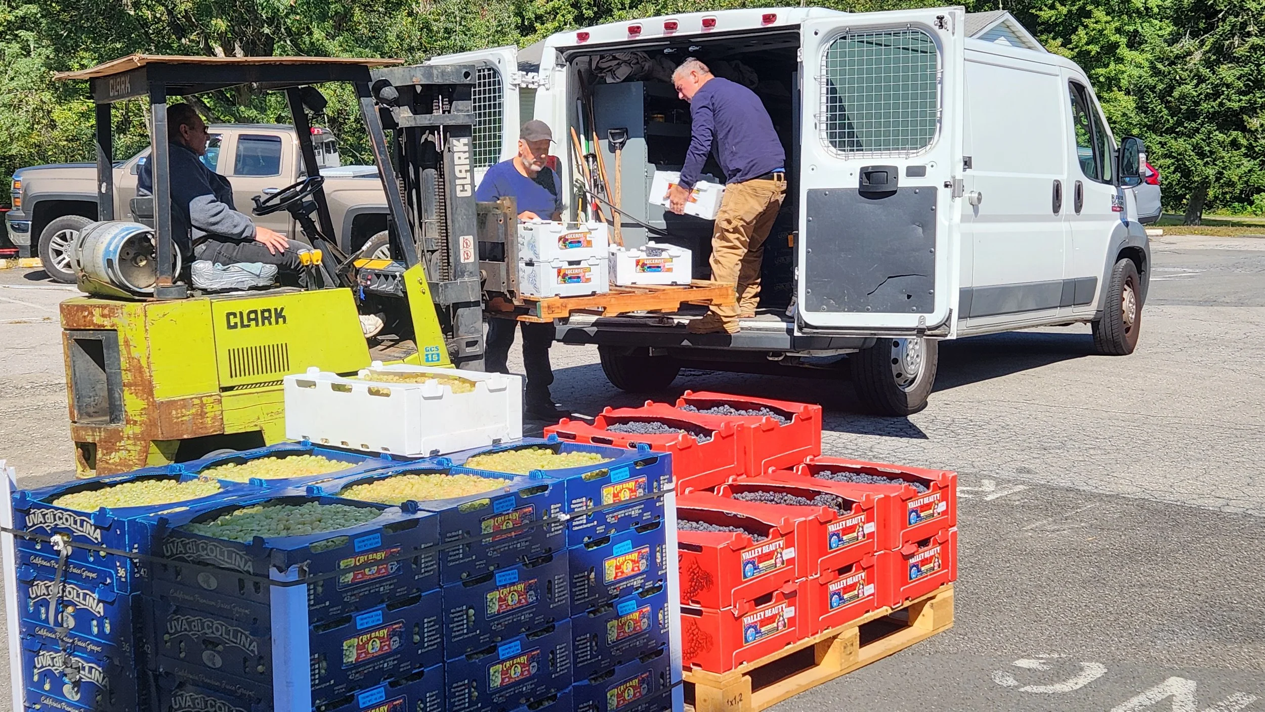 Fresh delivery of wine grape crates and supplies outside Pantano's