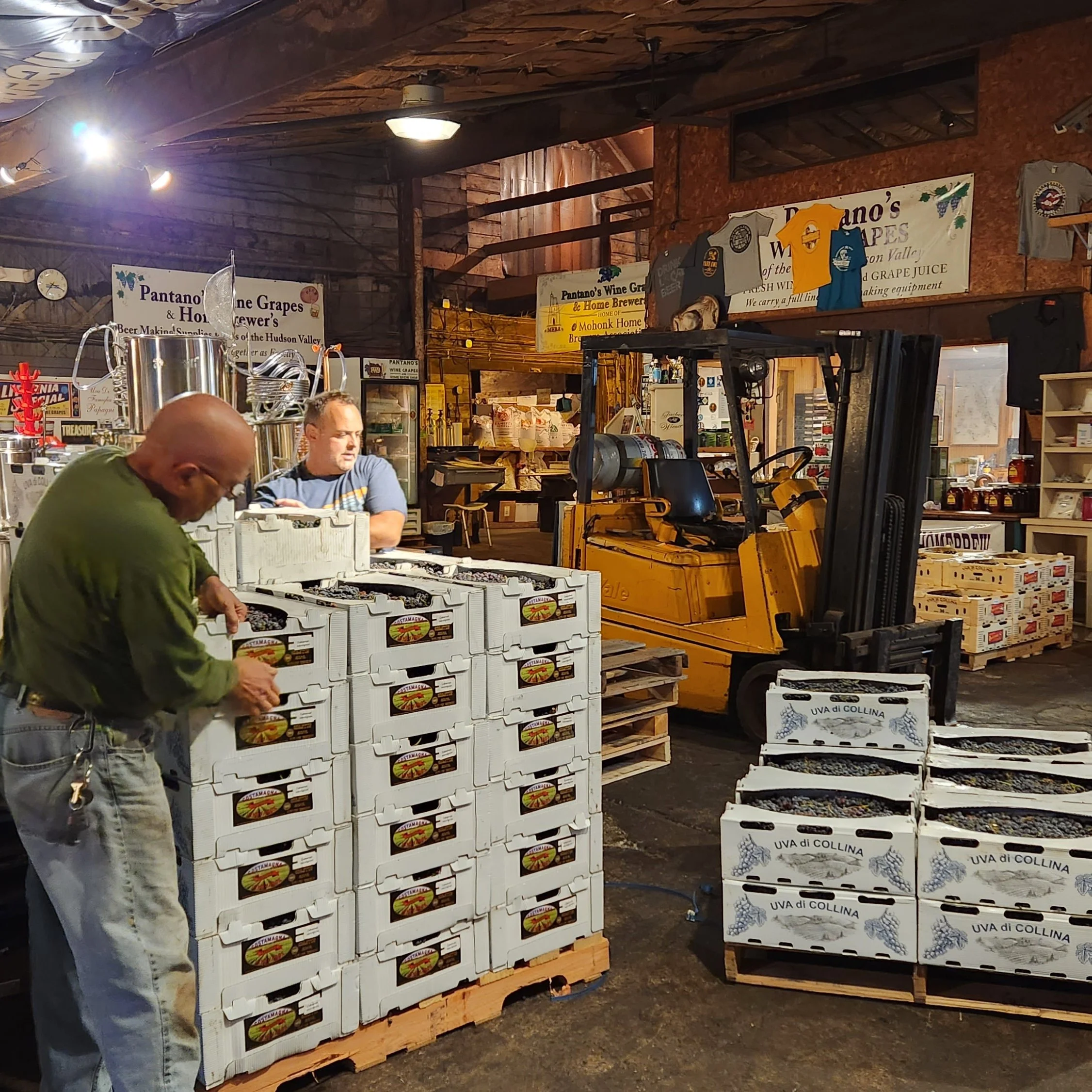 Interior of a store or market with crates of grapes labeled 'UVA di COLLINA' and a sign for Pantano's Wine Grapes, with customers browsing.