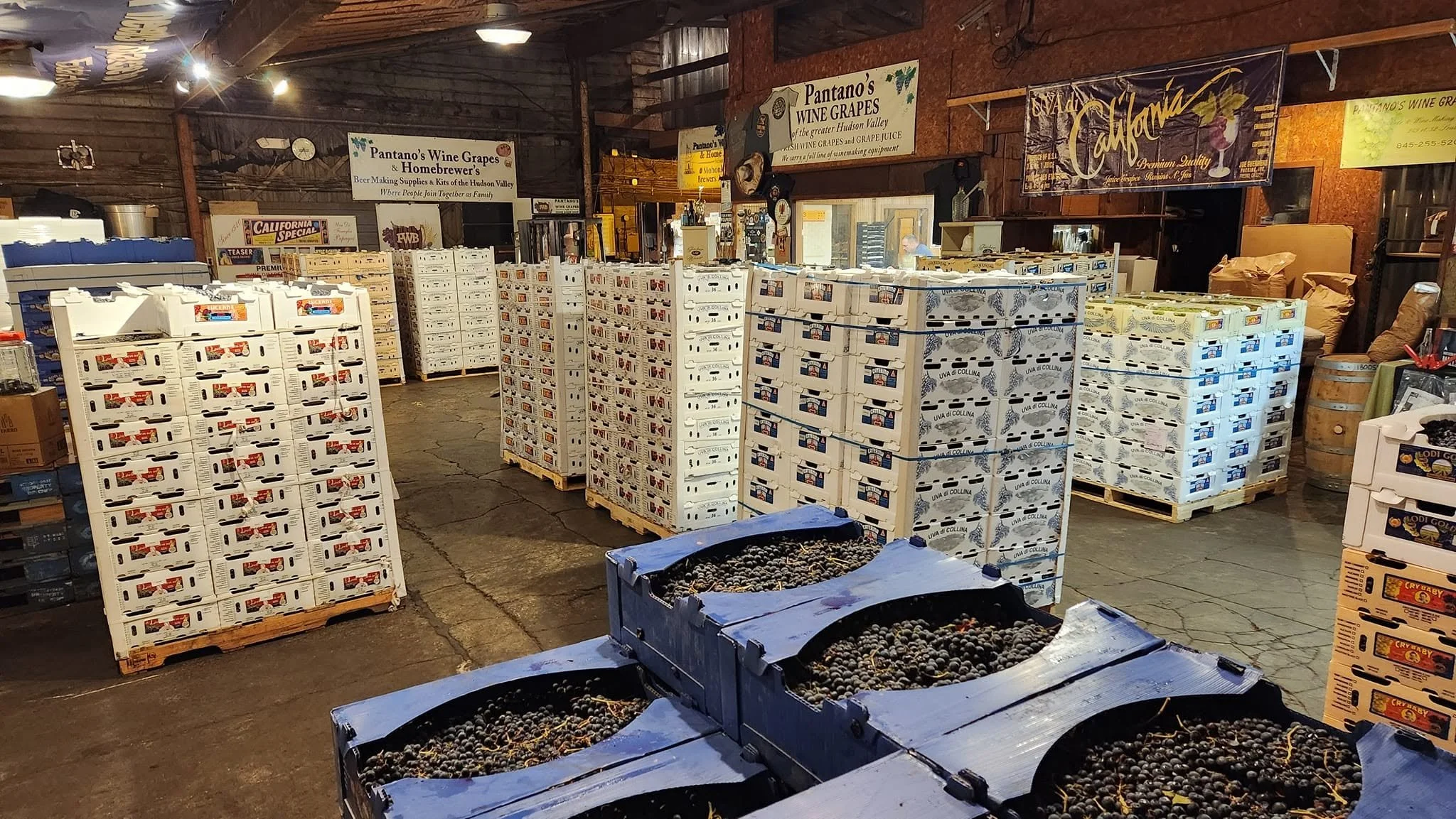 Stacks of wine grape crates ready for home winemakers