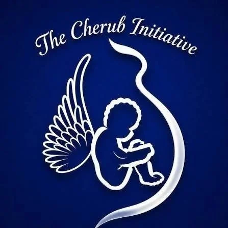 thecherubinitiative.jpg