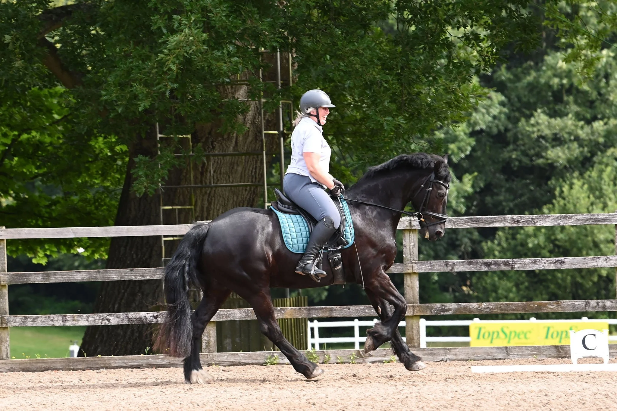 Alison and Andrews and her fab Welsh Cob Sam
