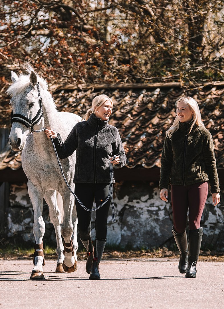 Mountain Horse and KC Dressage Academy