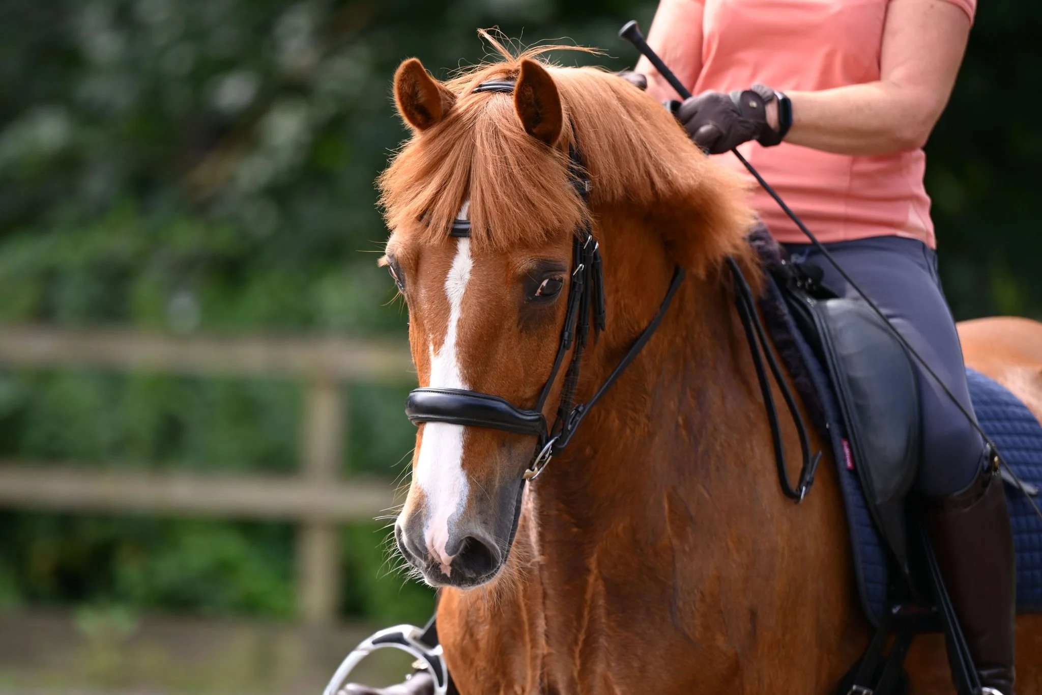 Training and Test Riding - December 30, 2026