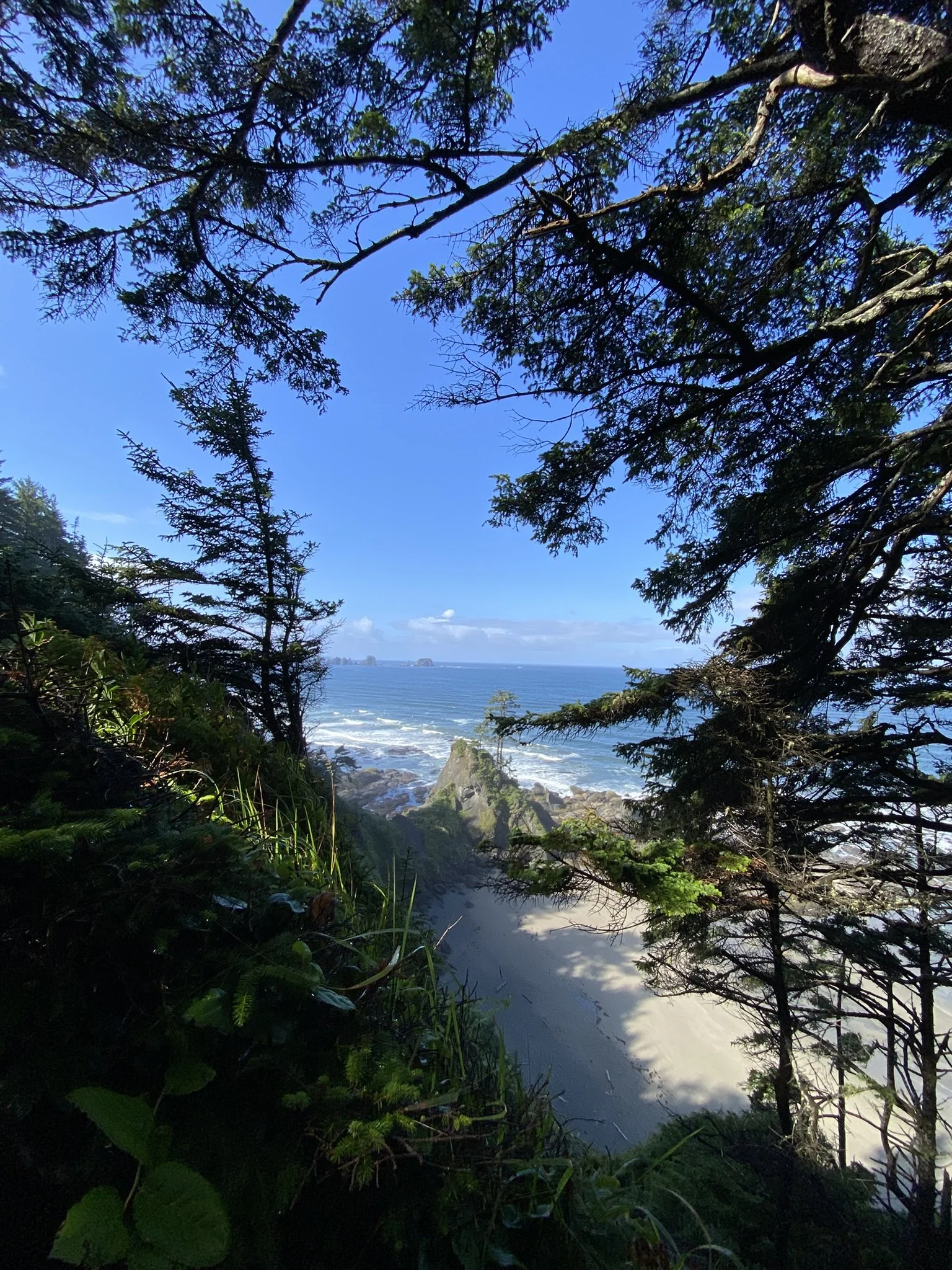 A view through trees of the ocean with small islands in the distance, under a blue sky with a few clouds. This what peace within our body, mind & energy can feel like. Calming, safe & tranquil.