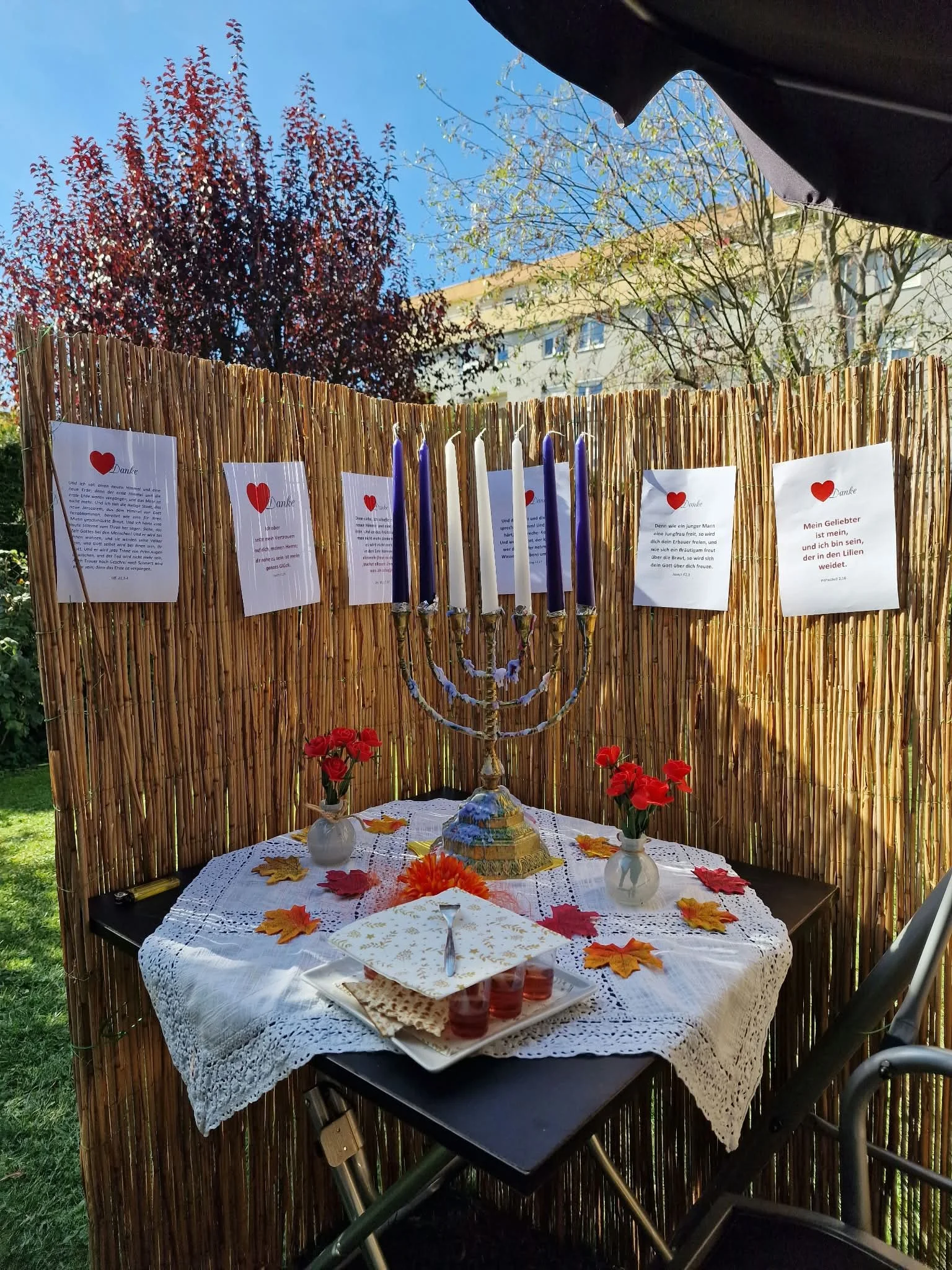 sukkot3.jpg