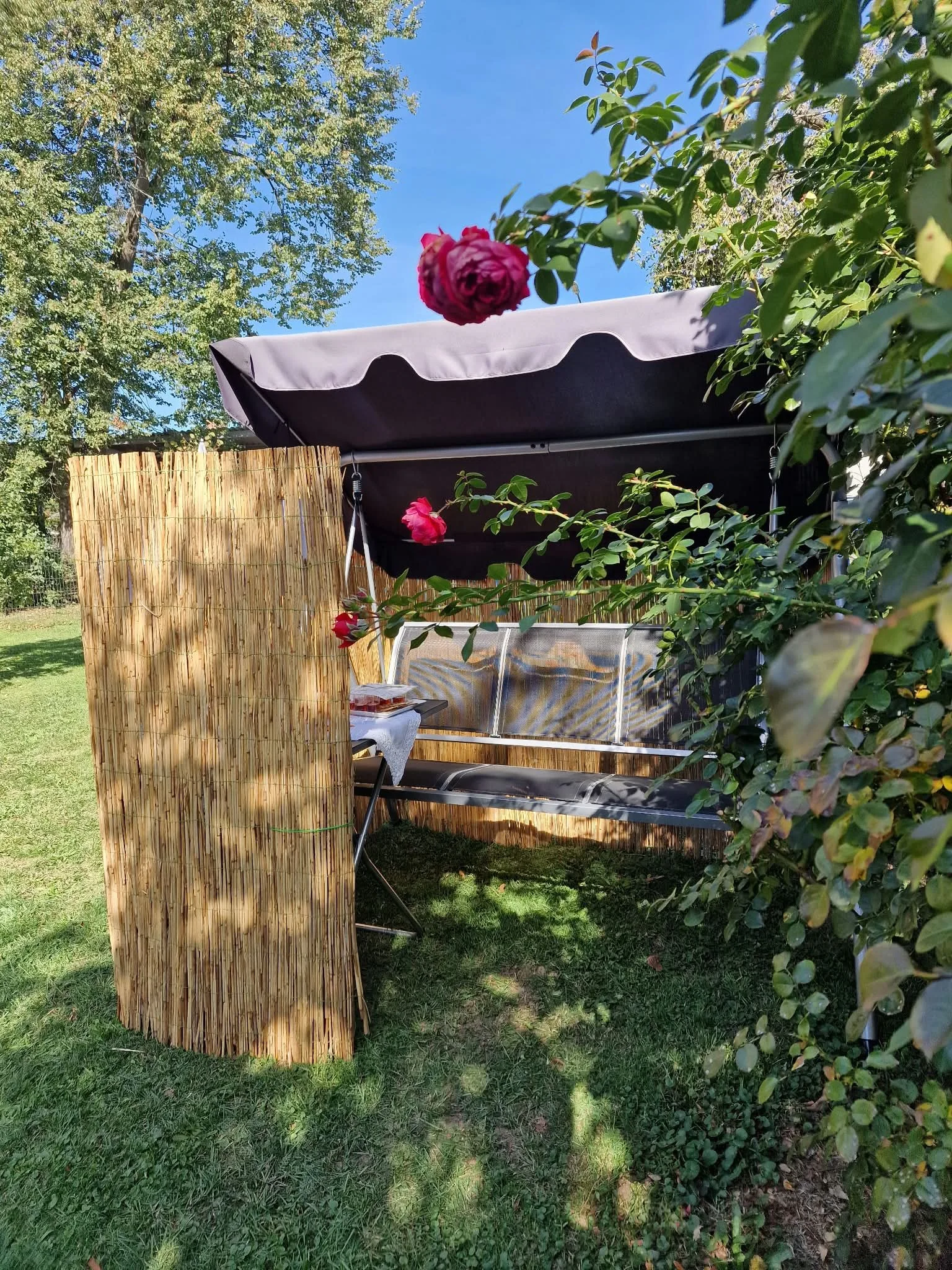 sukkot4.jpg
