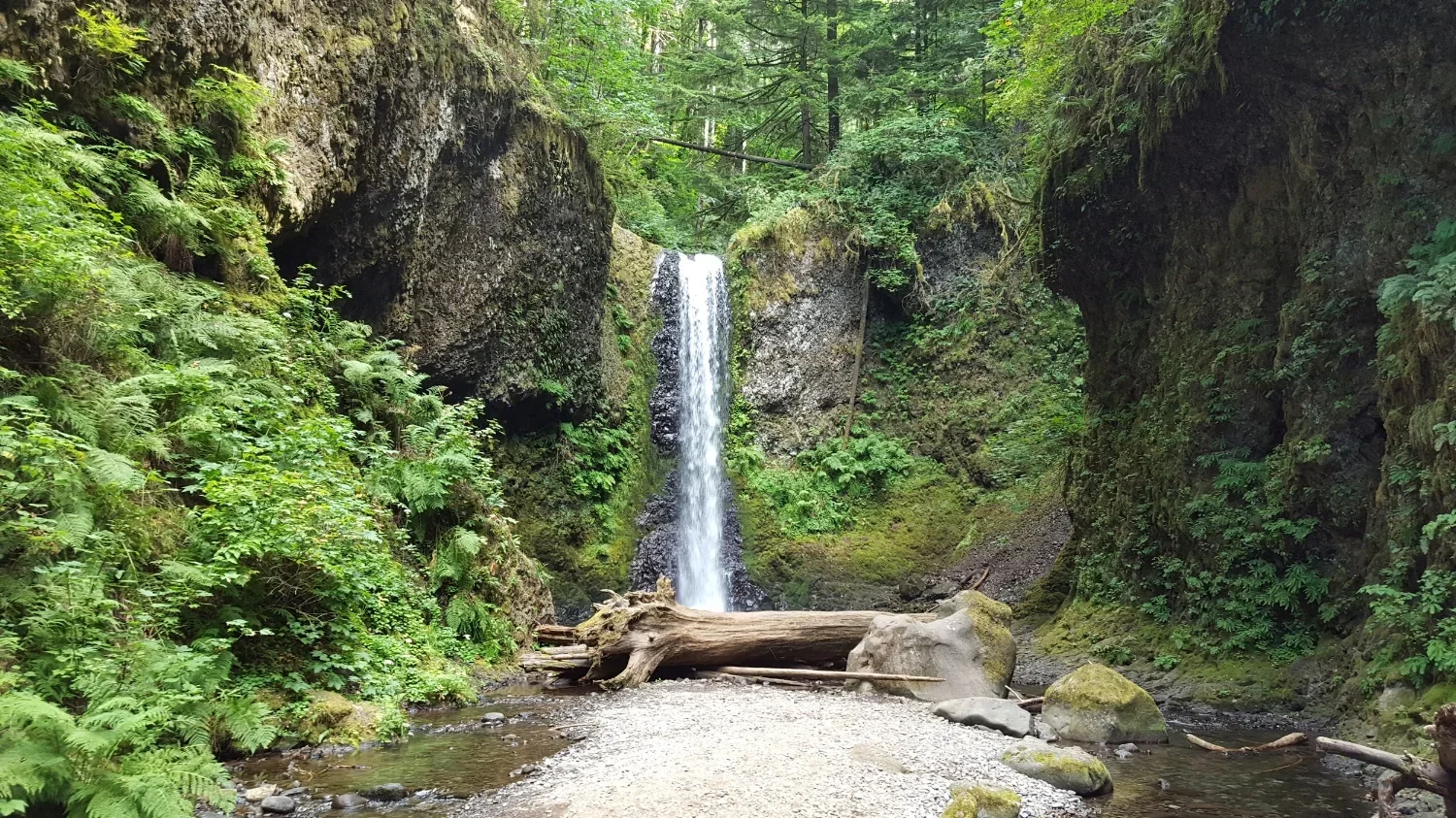 Wiesendanger Falls cascading into a mossy pool in Oregon's Columbia River Gorge.