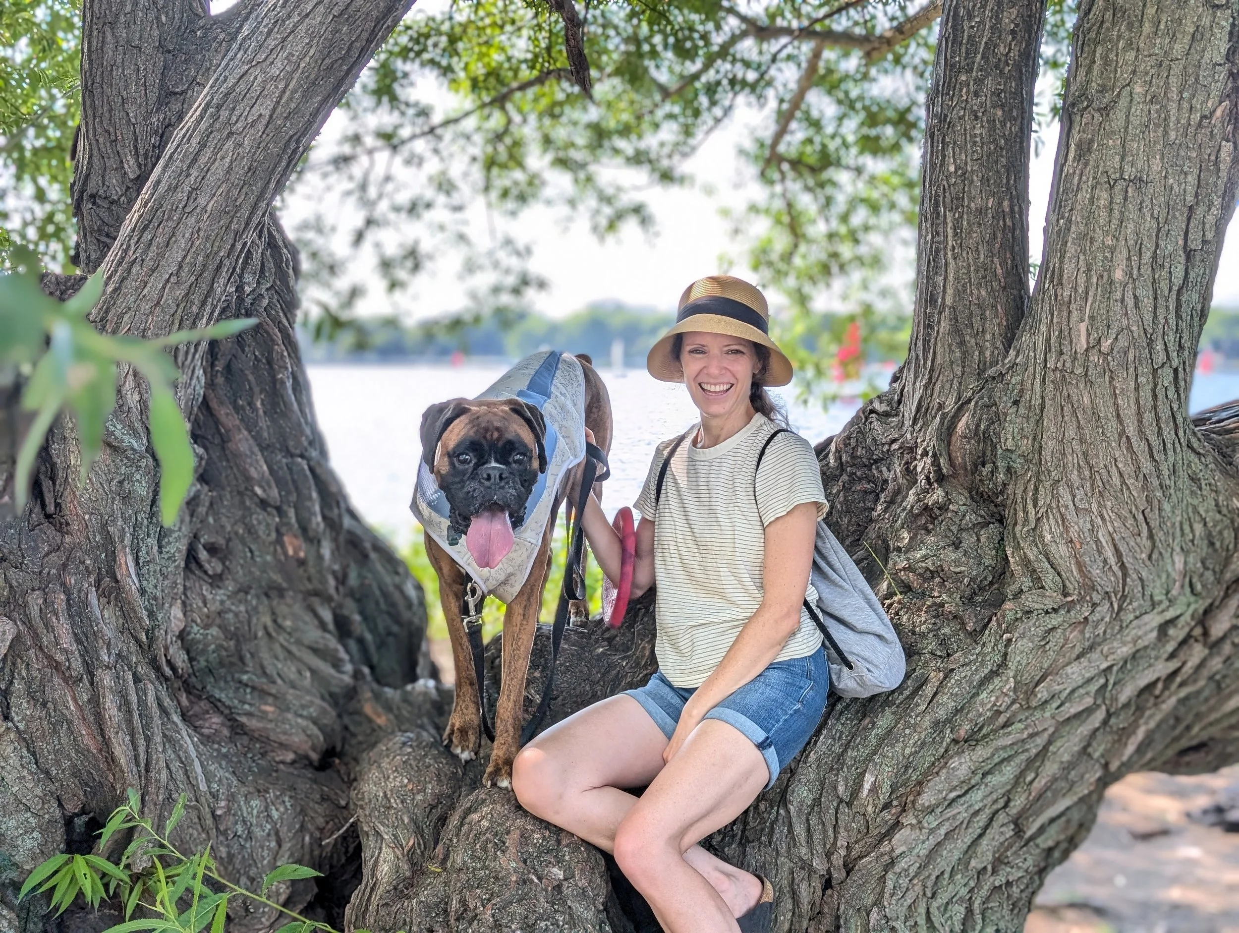 Erin Tower seated in a large tree with her dog on the Charles River Esplanade.