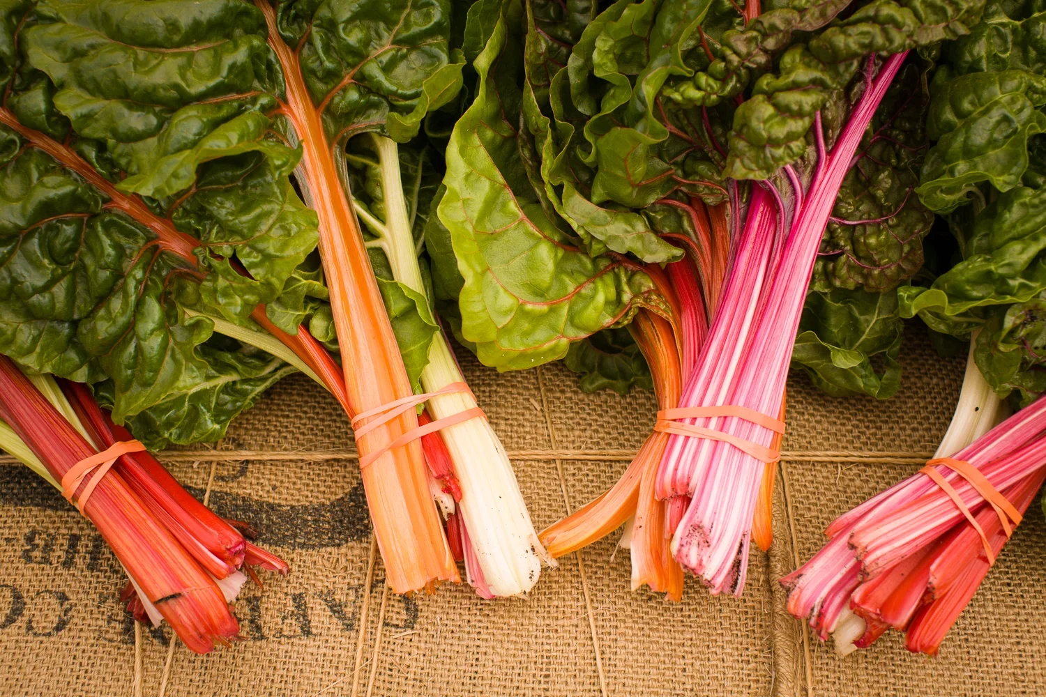 1_urban_agriculture_-10.webp