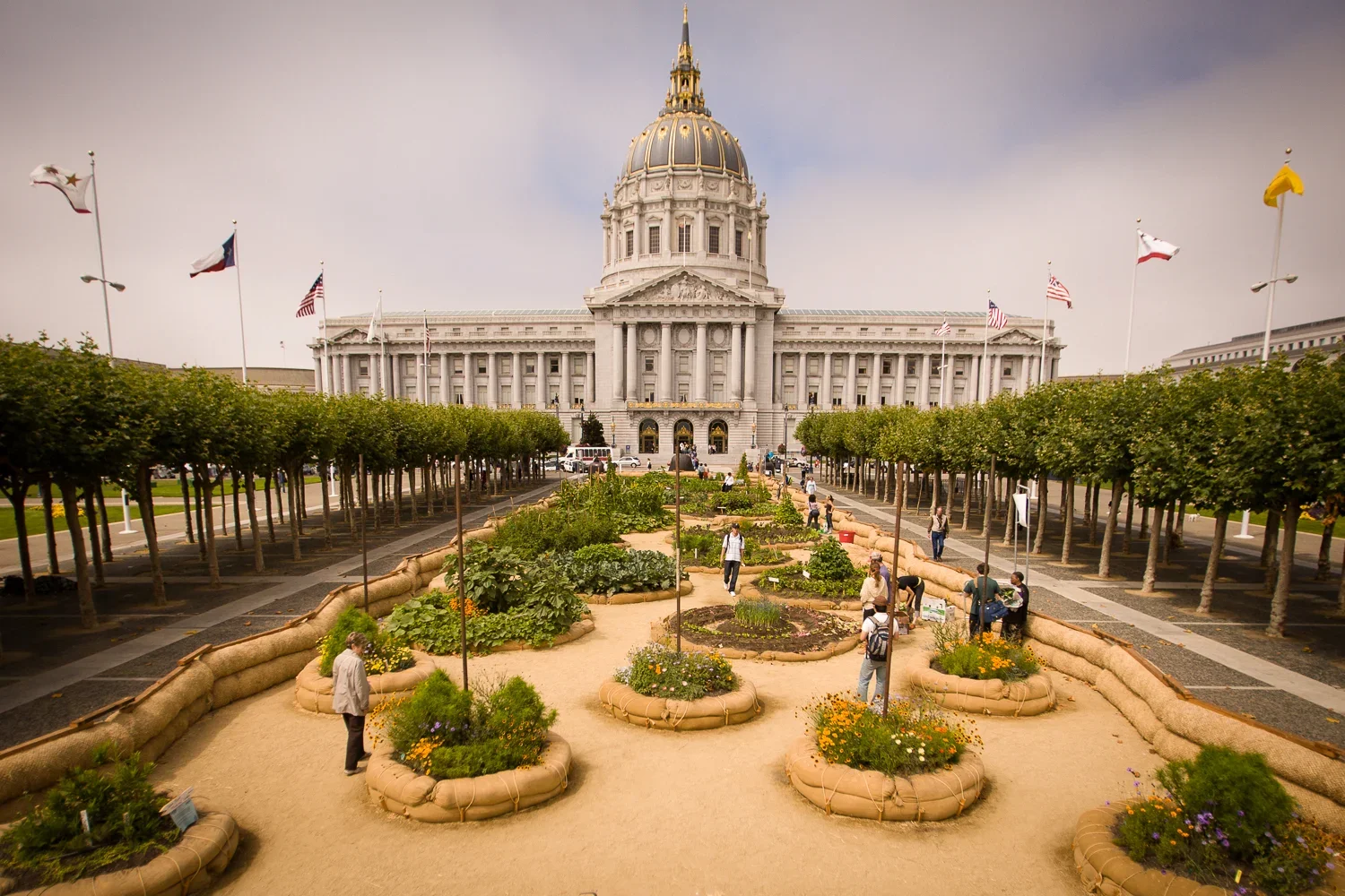 City Hall Victory Garden