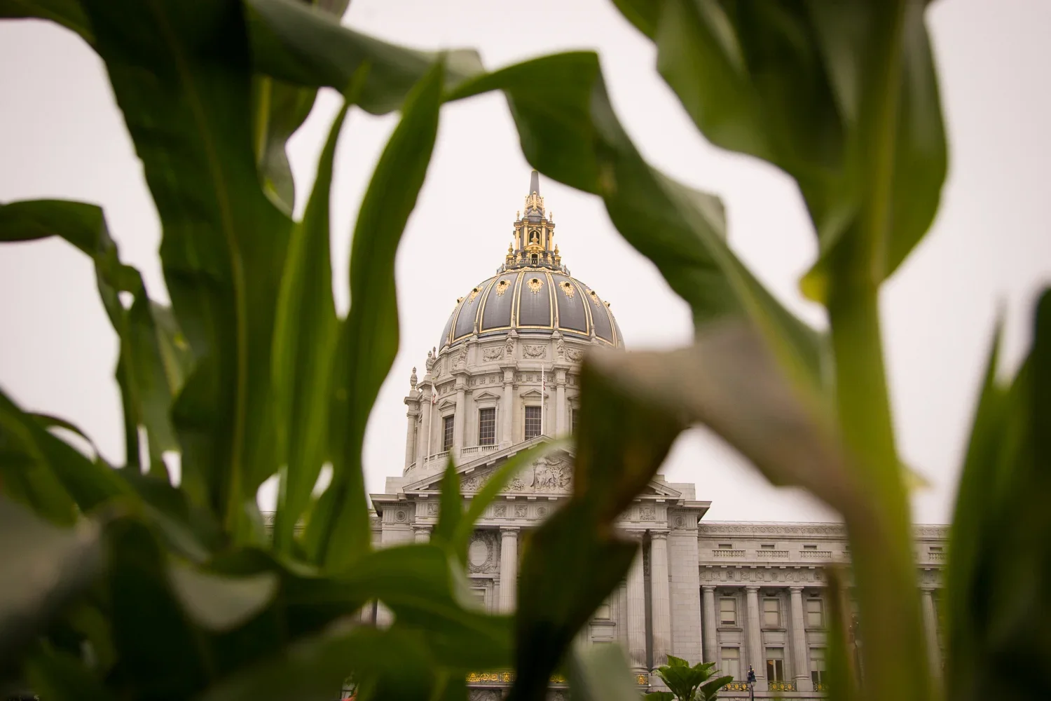1_urban_agriculture_-23.webp