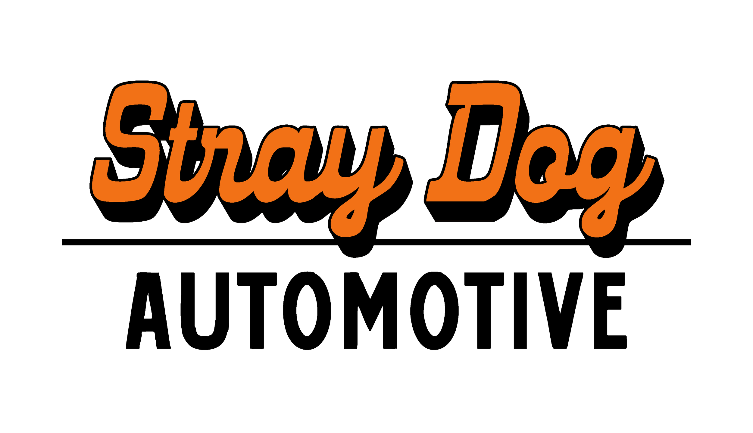 STRAY DOG