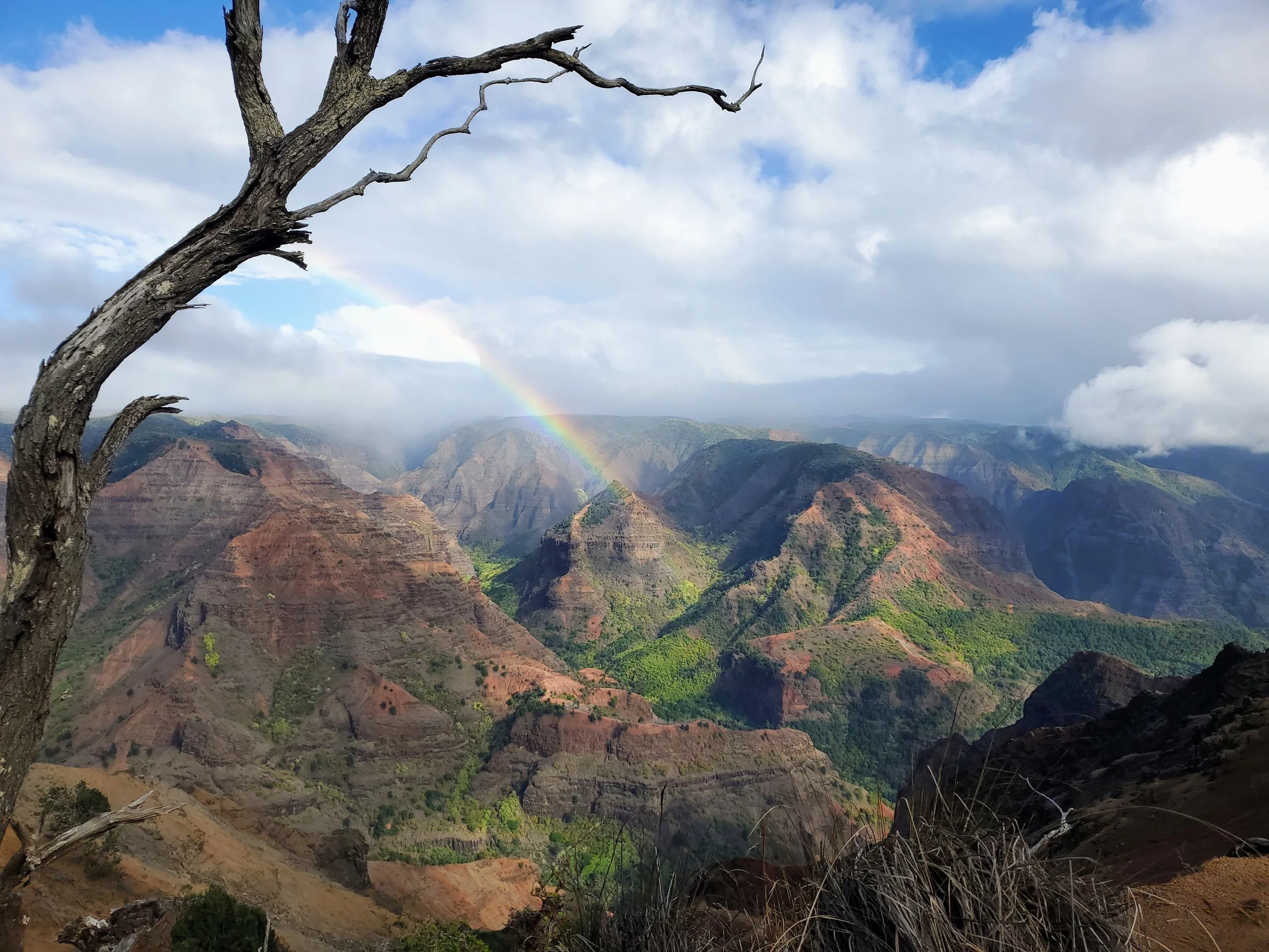 Believe in Rainbows