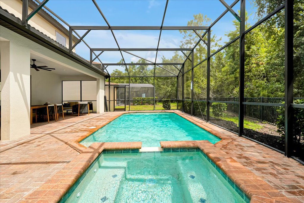 Enclosed backyard pool area with a swimming pool and hot tub on a sunny day, surrounded by a black metal screen enclosure and trees.