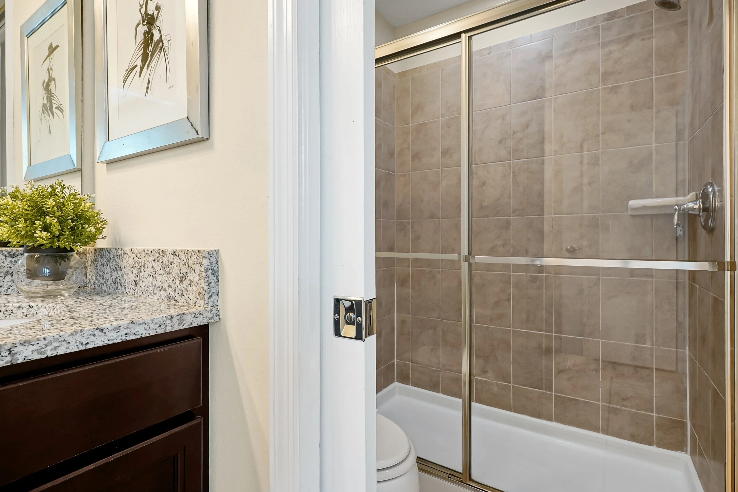 Bathroom with a glass shower enclosure with brown tiles, a toilet, and a granite countertop with a potted plant. Two framed artworks hang on the wall.