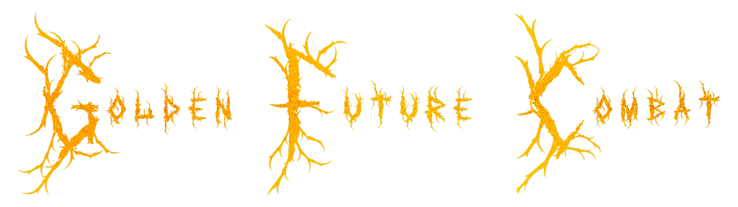 GOLDEN FUTURE COMBAT