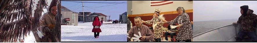 A collage of four images: a person in a hide during winter, a child walking in snow, elderly people in a social activity, and a woman on a boat looking at the water.