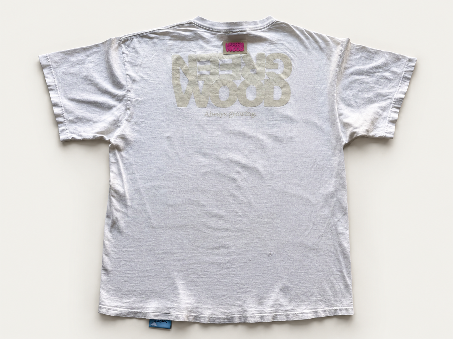 Greenwood Washed White T-Shirt Flat Lay.png