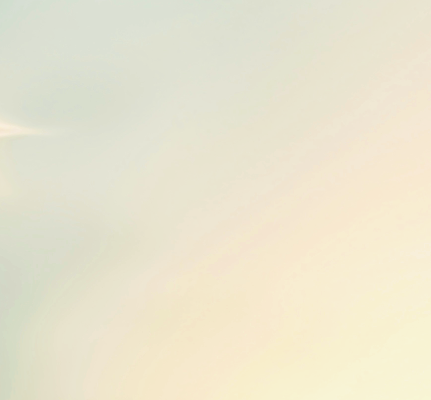 A blurred light-colored background with no discernible objects.