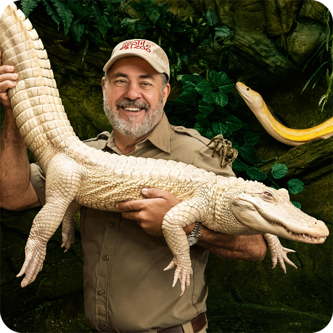 ROKU: Reptile Royalty S2