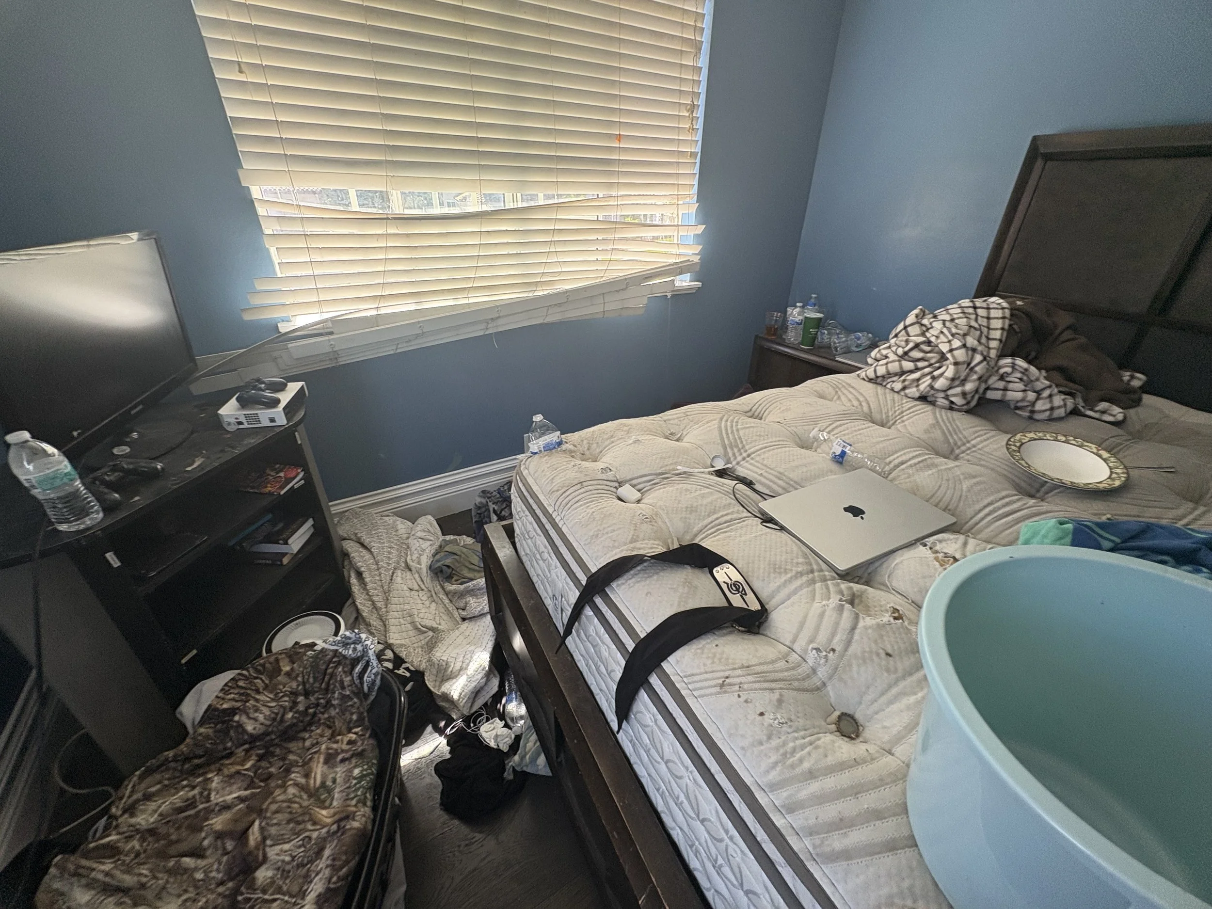 IMG_8186.jpeg