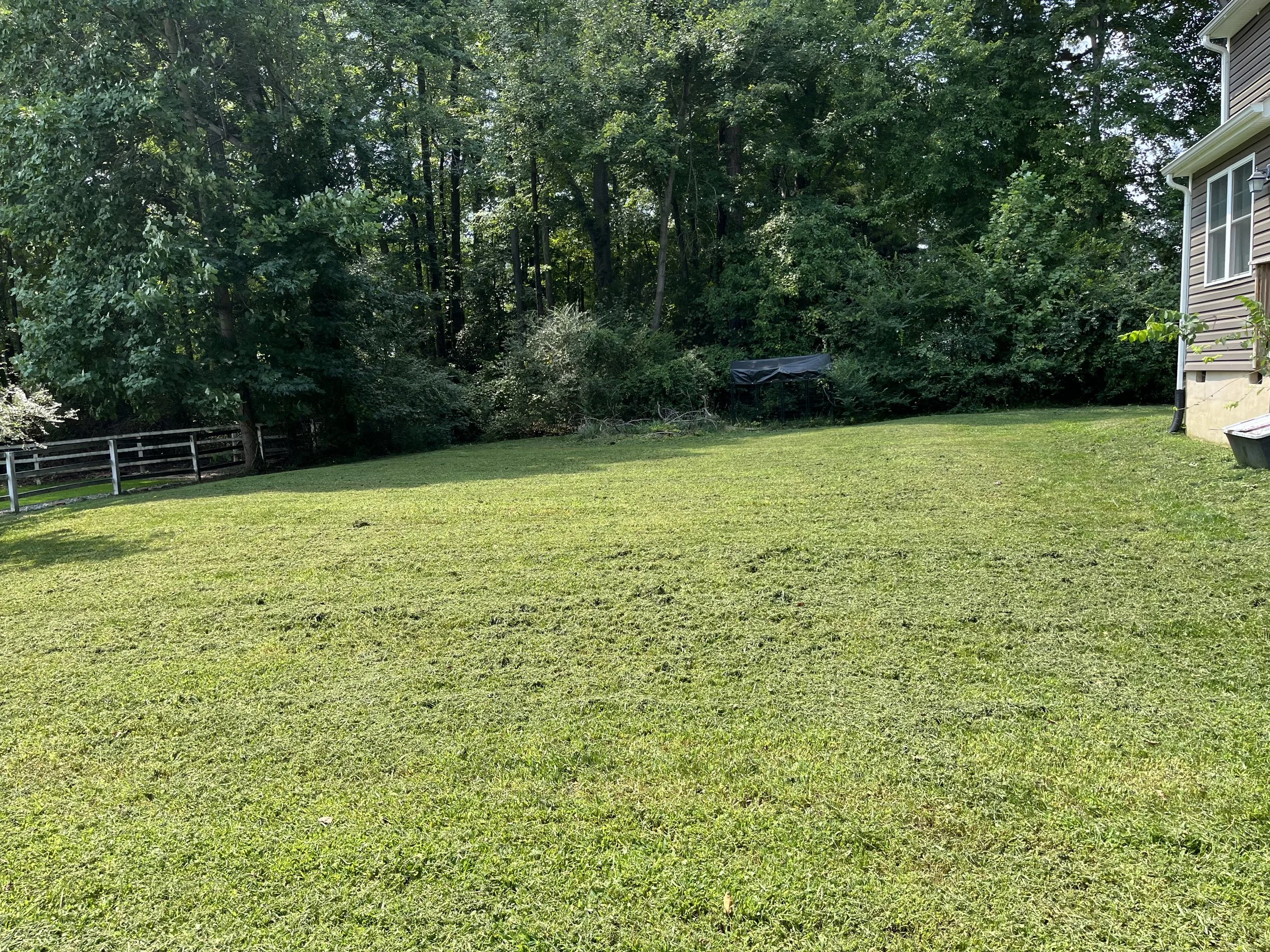 A residential backyard yard with a well-maintained grassy lawn, a fenced wooded area, and a house with siding, visible to the right.