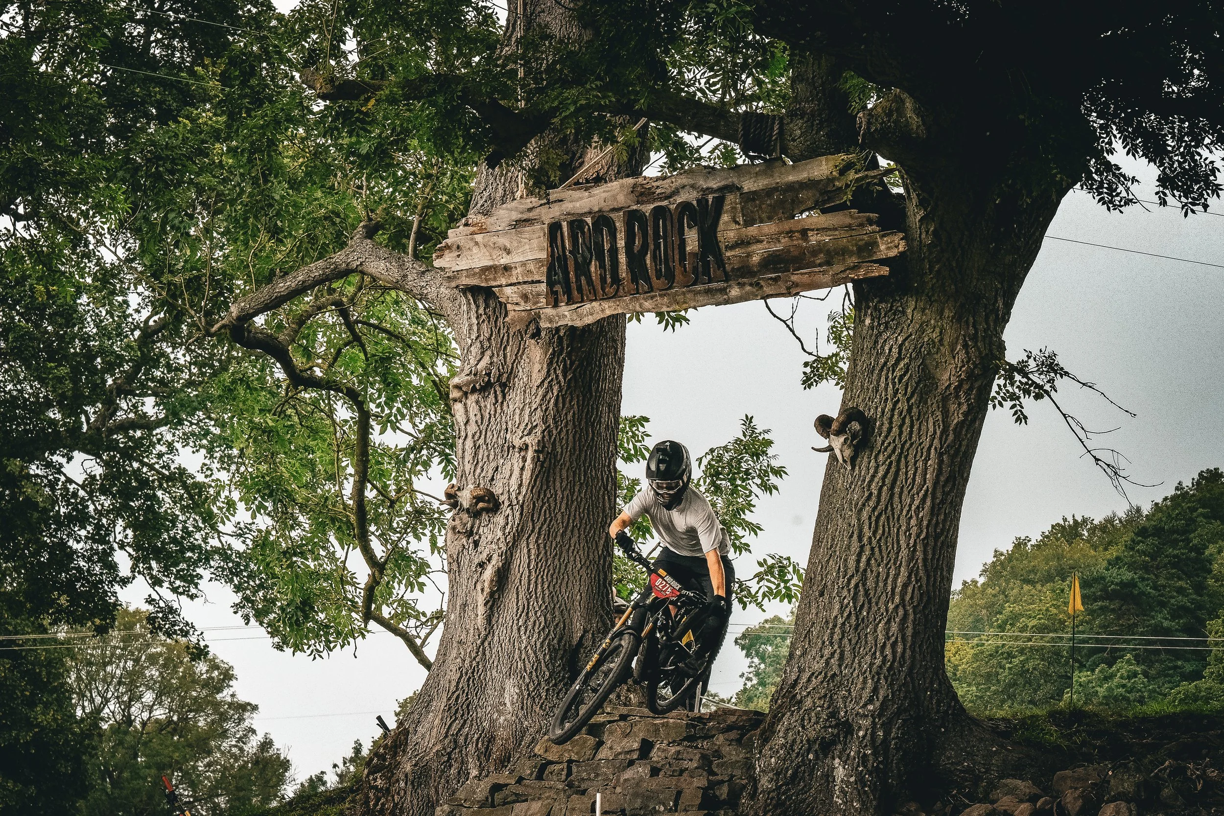 A person riding a mountain bike down a steep tree trunk during a biking competition or stunt in a wooded area, with a 'Scrrrock' sign attached to the tree.