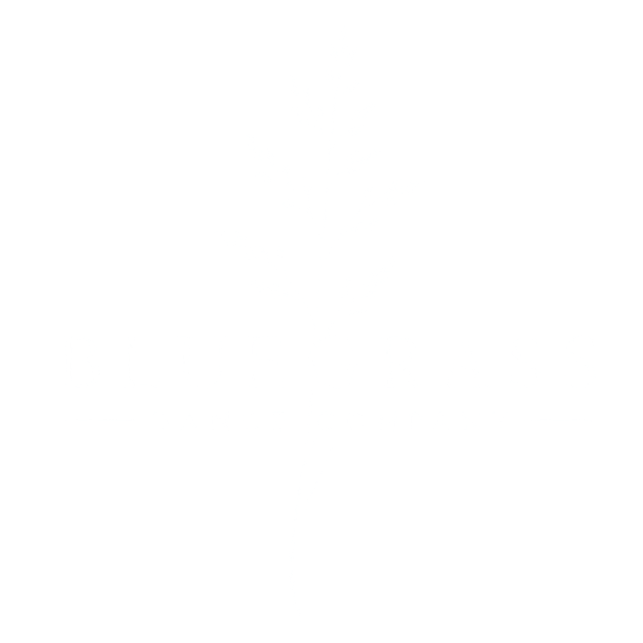 Bluegrass Dance Company