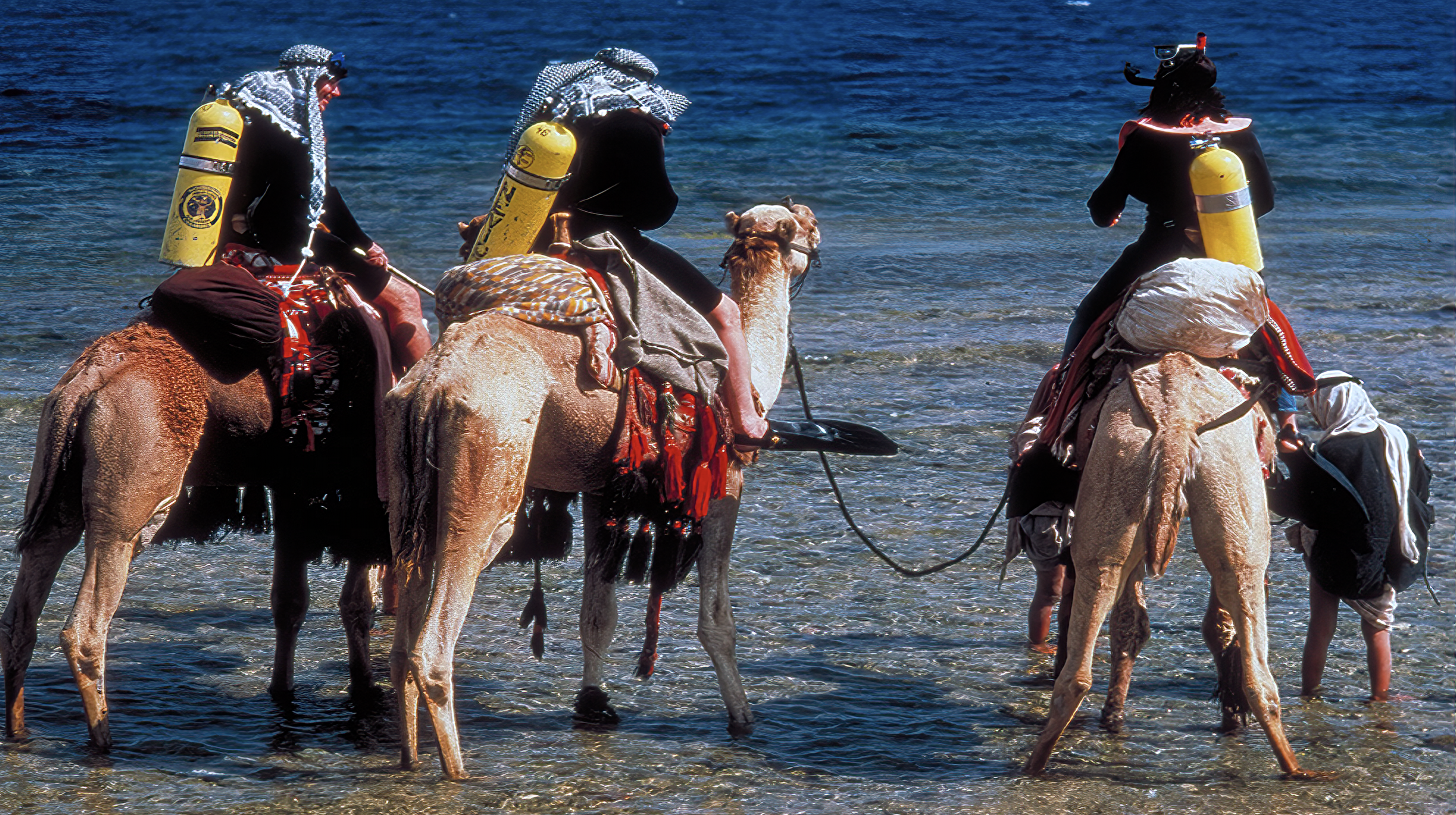 2 The history of diving in the Red Sea.png