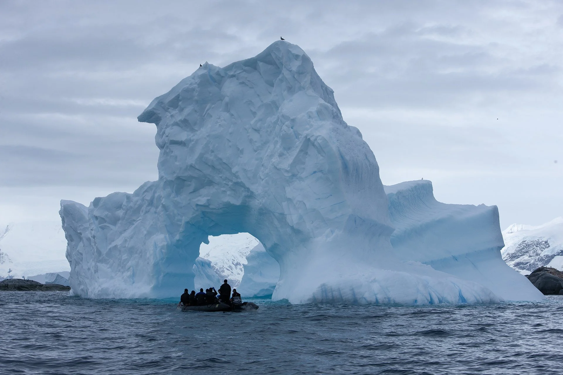 Iceberg and diving zodiac.jpg