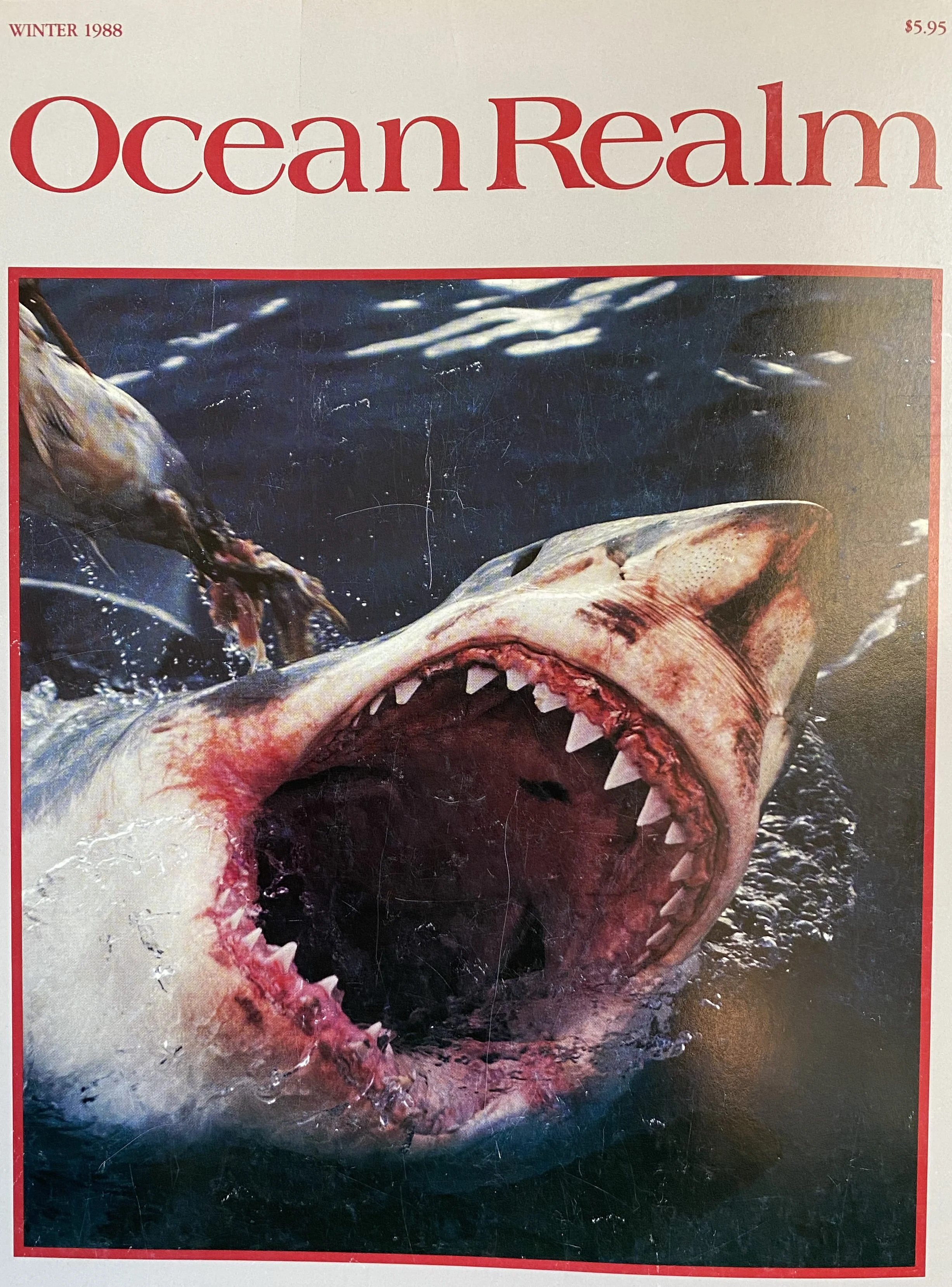 Ocean Realm cover.jpg