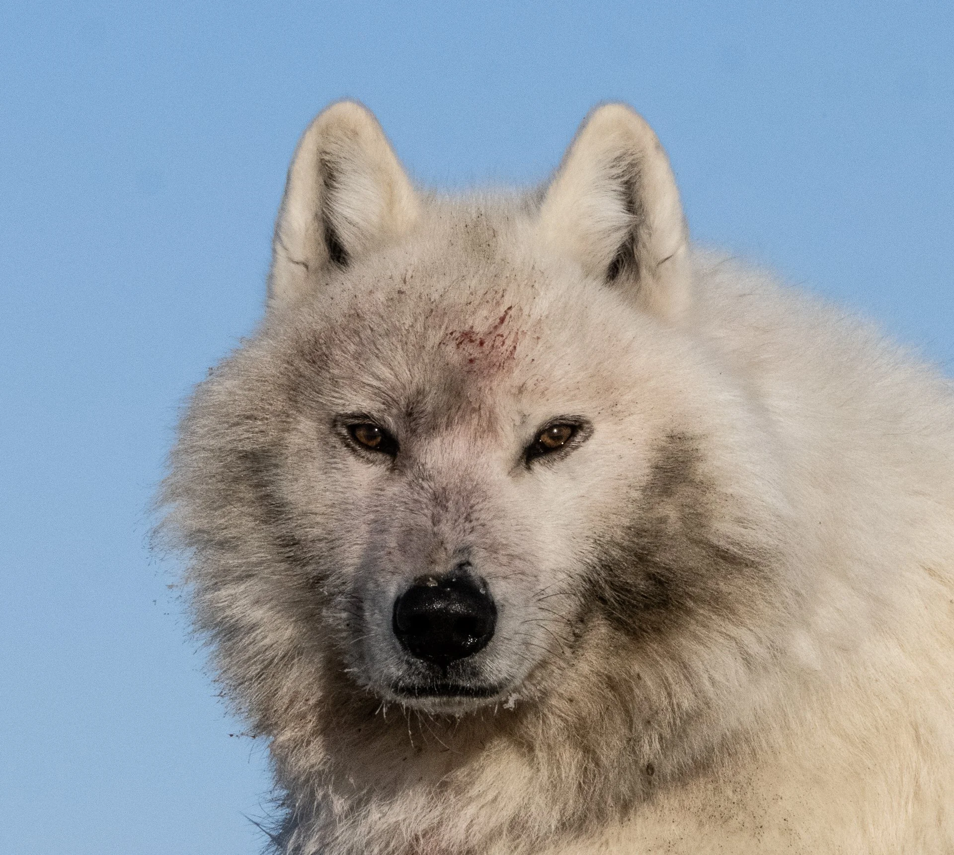 DSC_9625.jpg