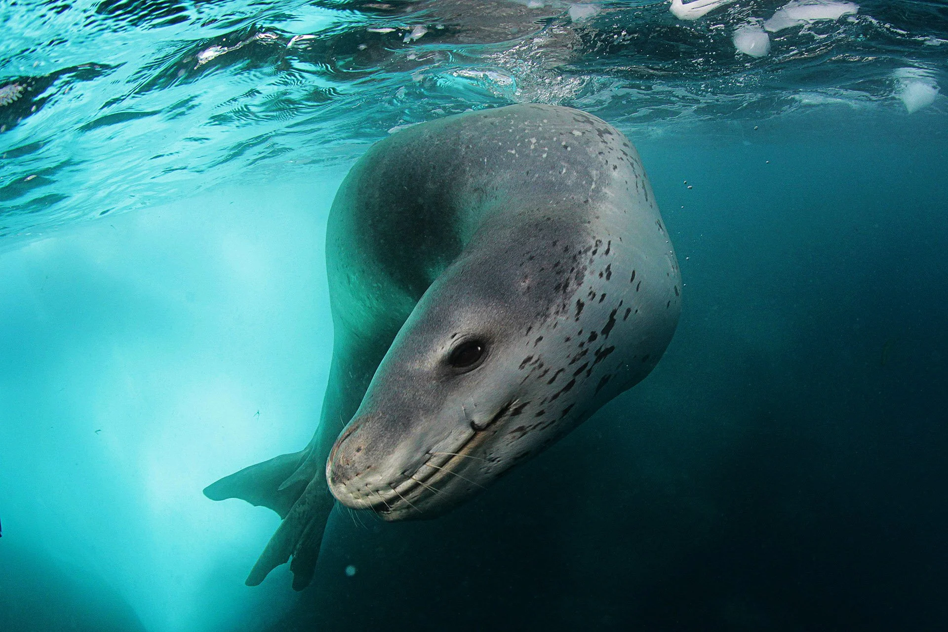 antarctica_17.jpg