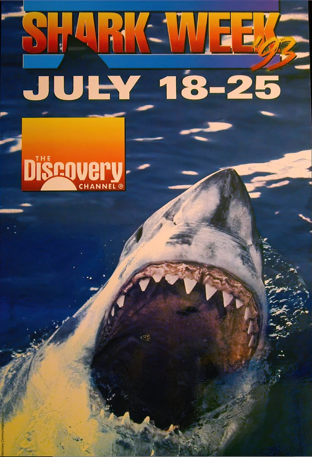 Discovery Shark 1993.jpg