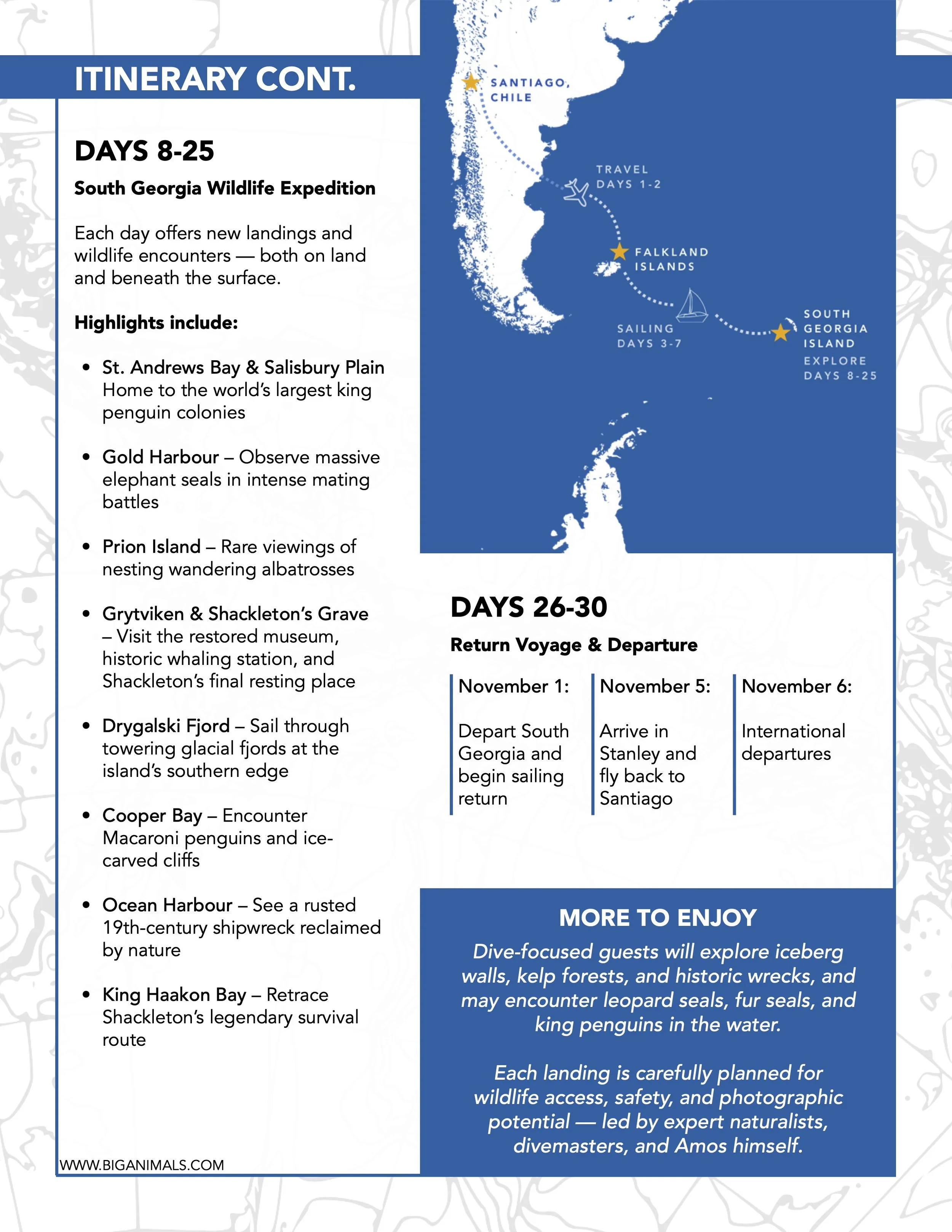 2027_South Georgia Island 6.jpg