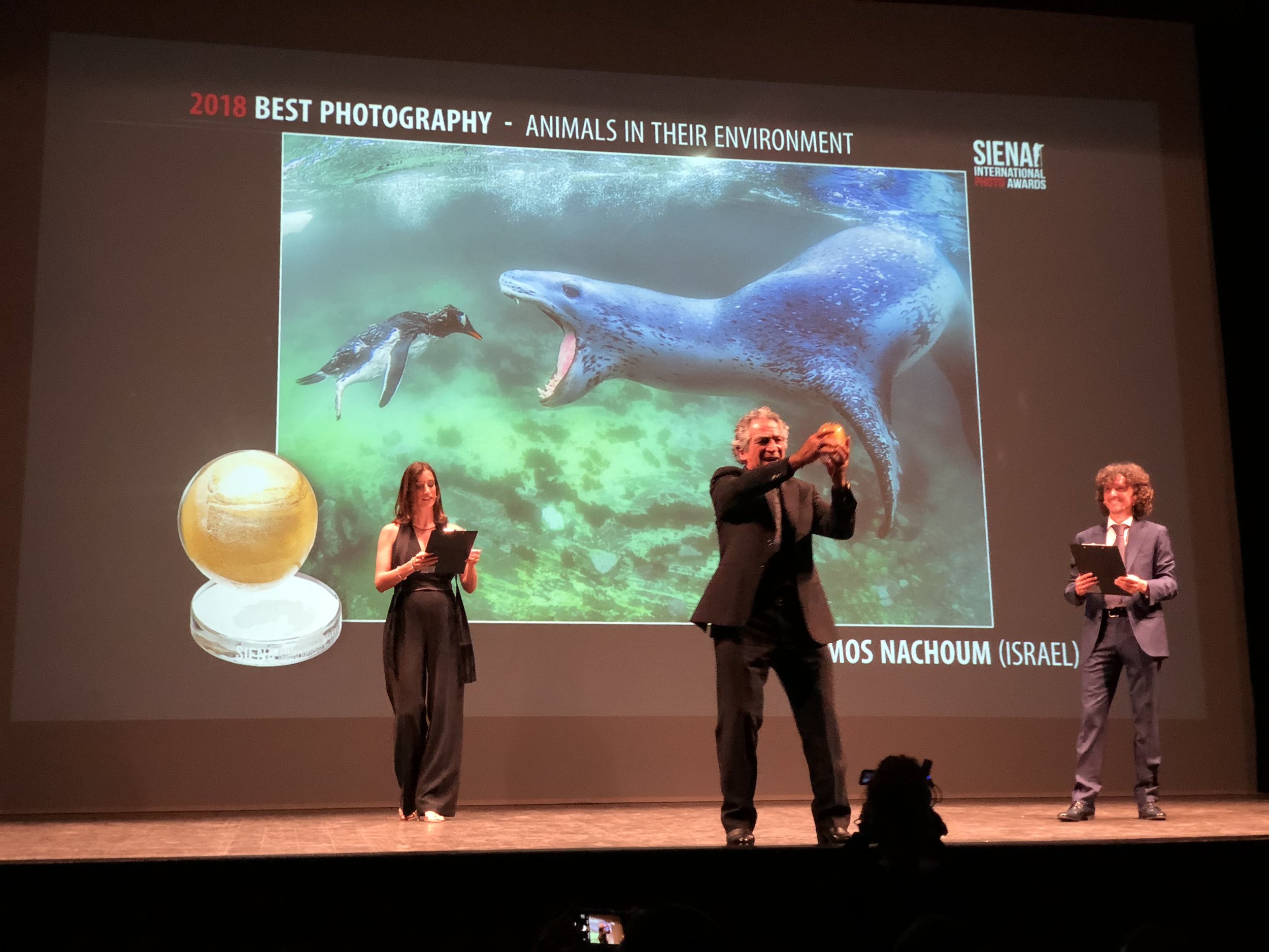 13 SIPA 2018, photo competition The Winning moment.jpg