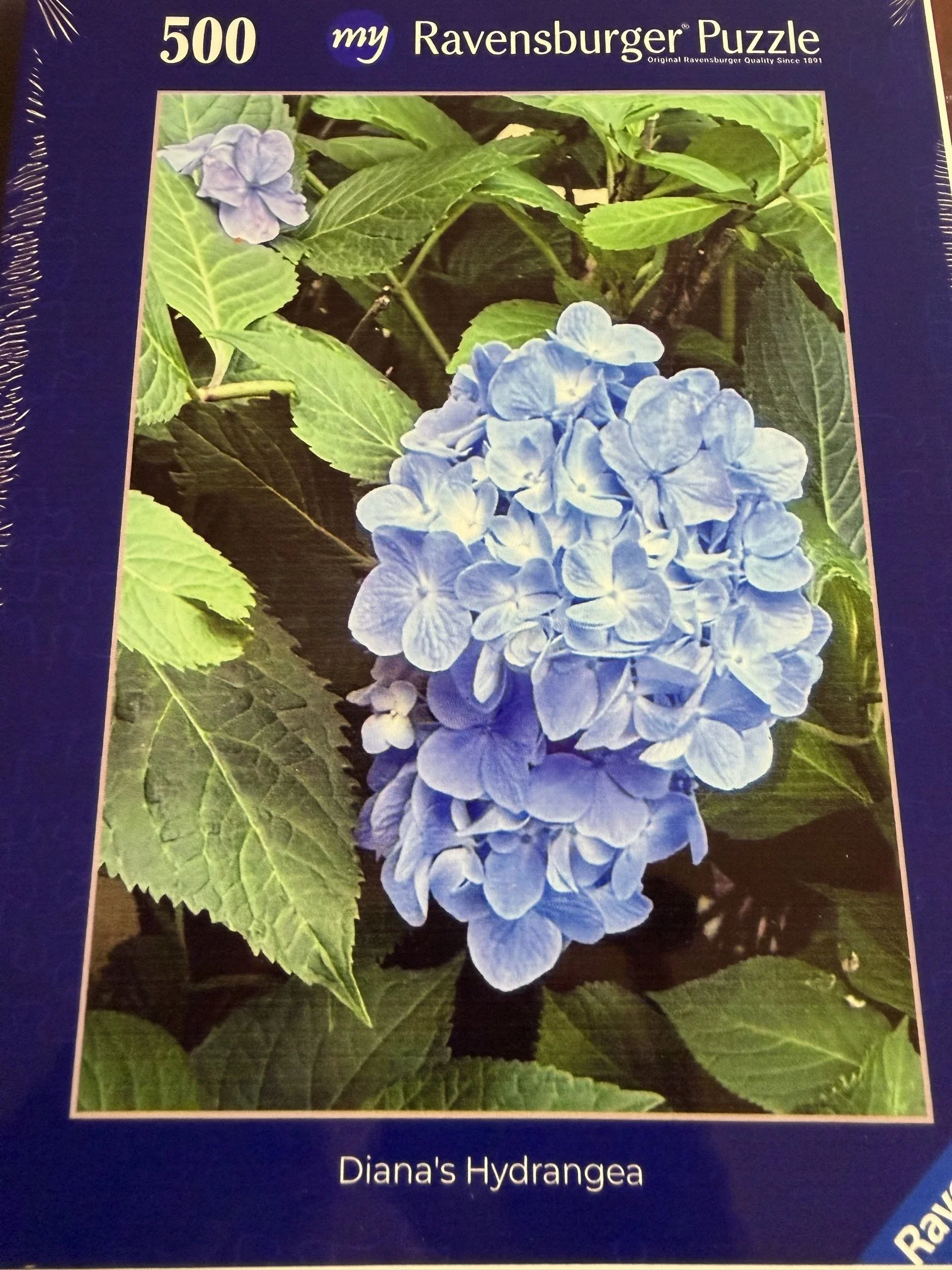 Diana’s Hydrangea — Ravensburger jigsaw puzzle box.
