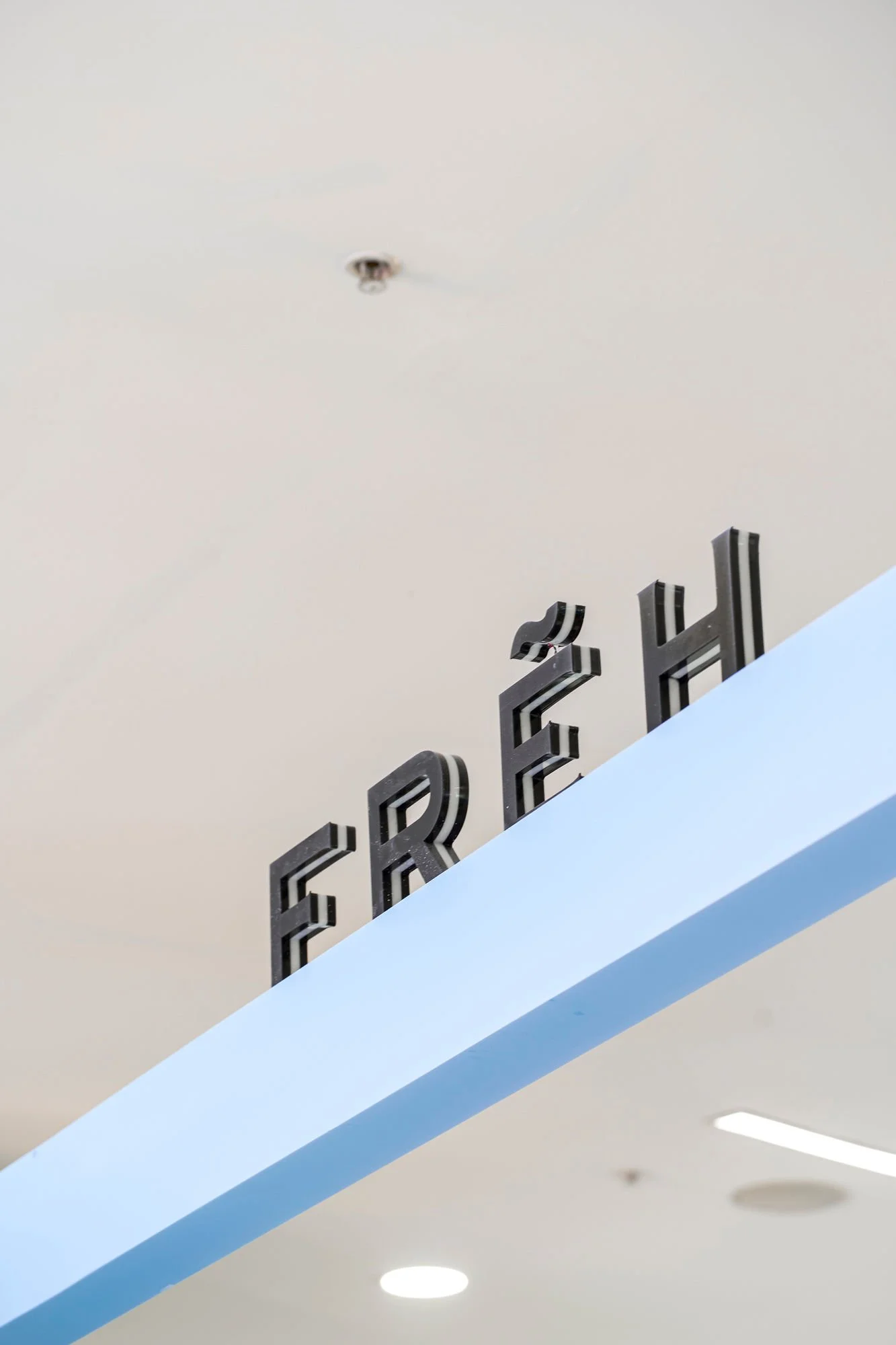 FREH SALAVERRY 11.jpg