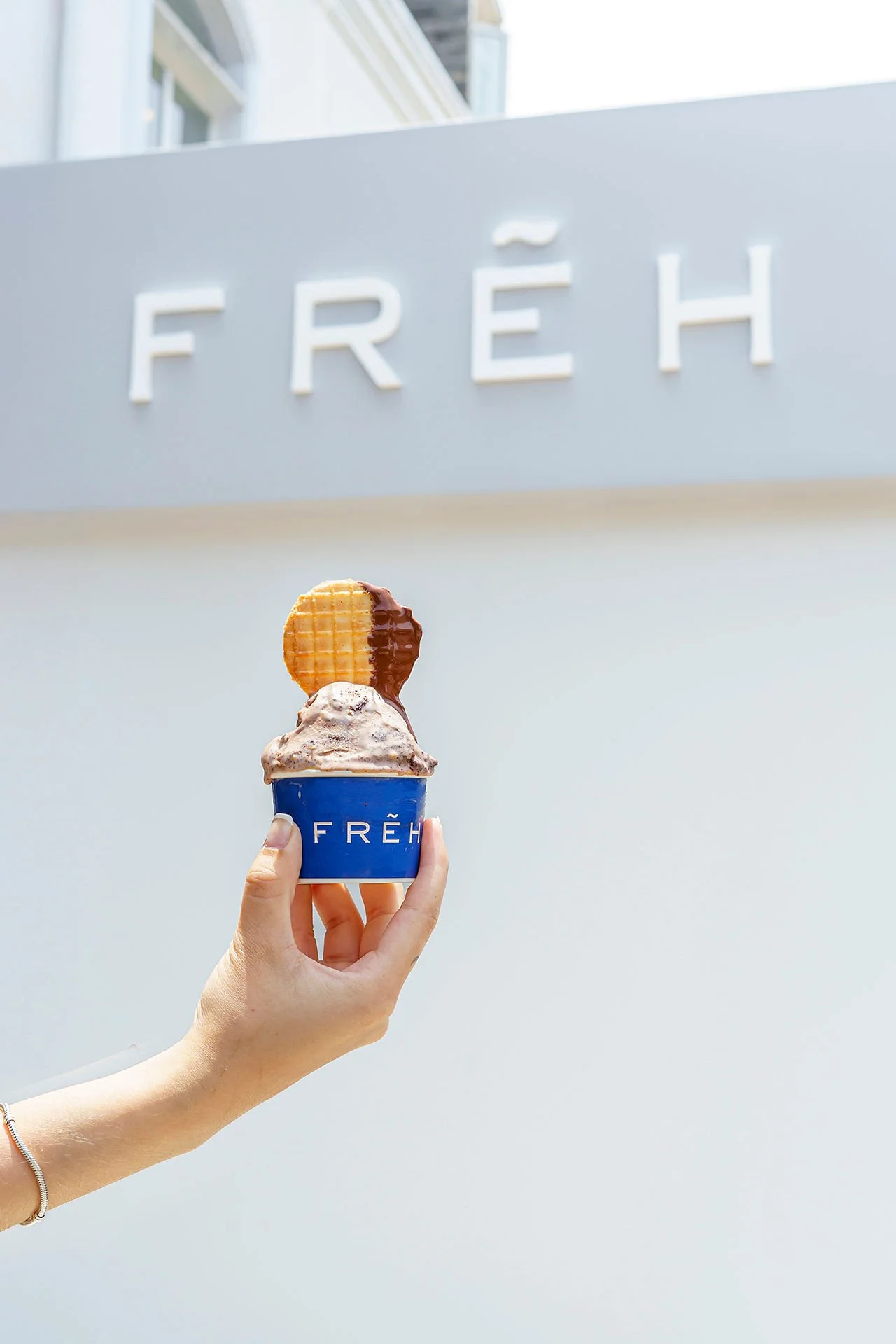 FREH SANTA CRUZ 4.jpg