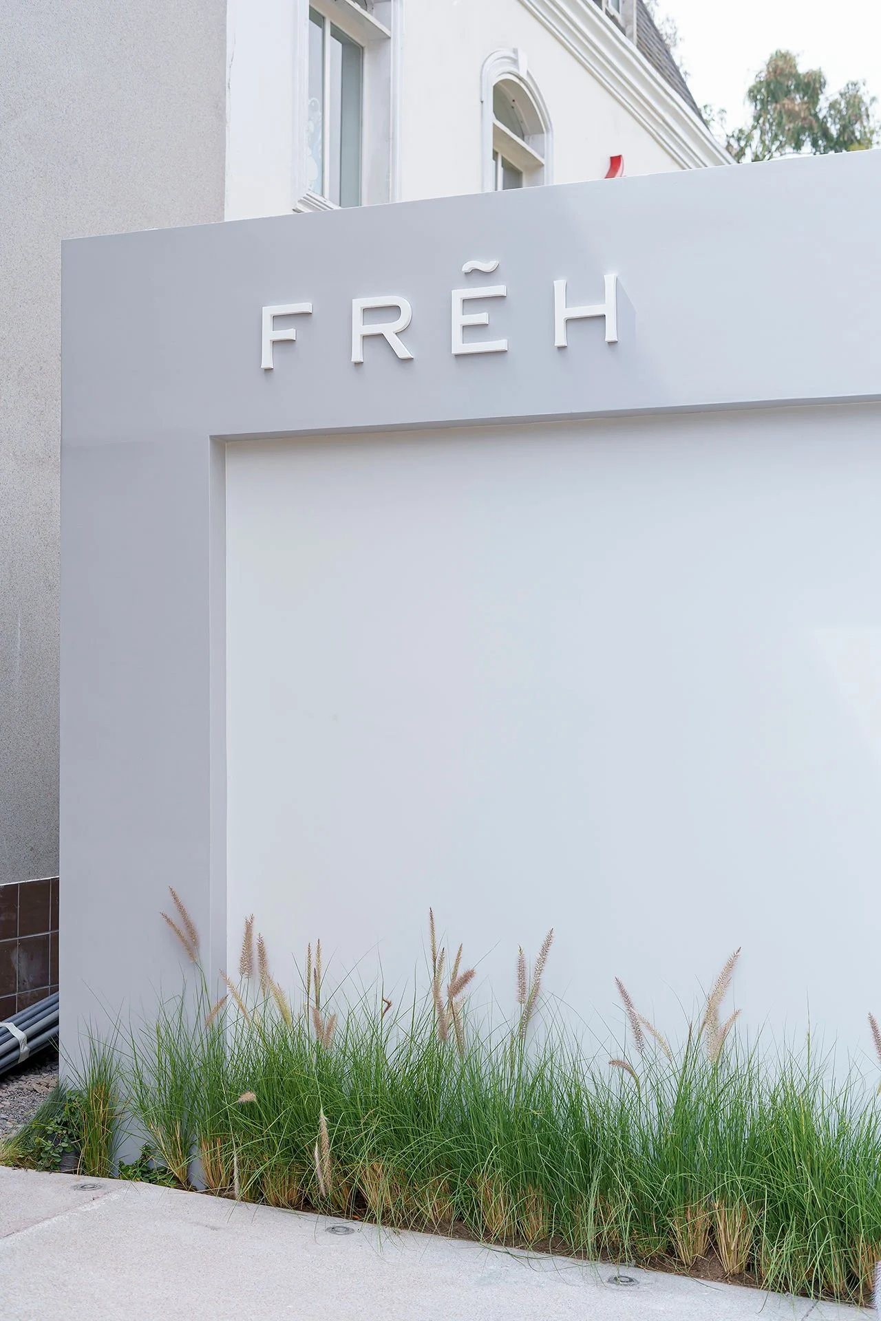 FREH SANTA CRUZ 8.jpg