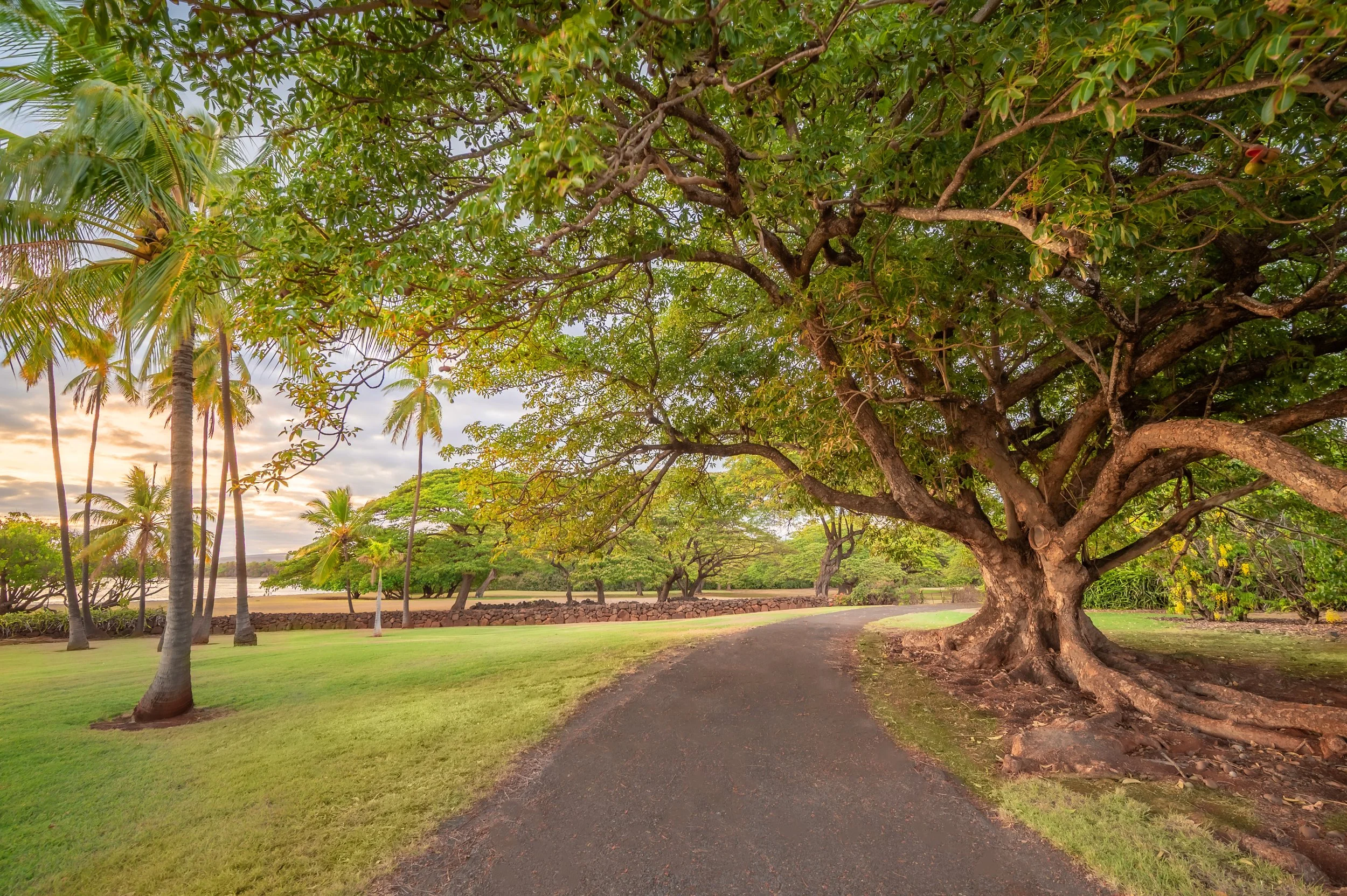_DSC8765-HDR.jpg