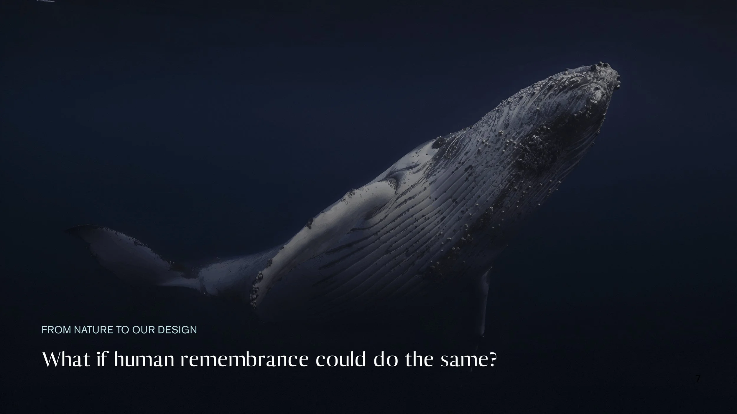 Memorial Pod 7.jpg