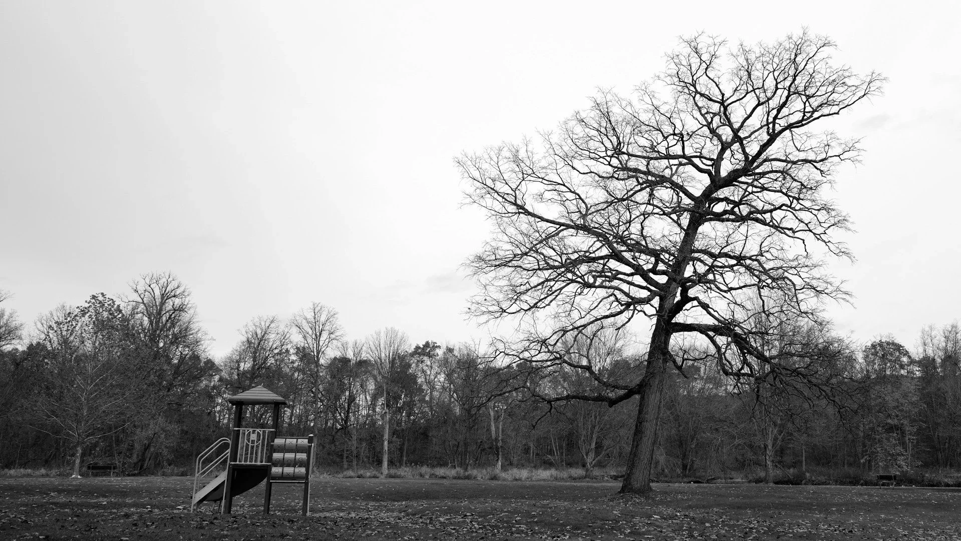 Black and white photo of a leafless tree in a park, with a playground structure in the foreground, and others trees and a cloudy sky in the background.