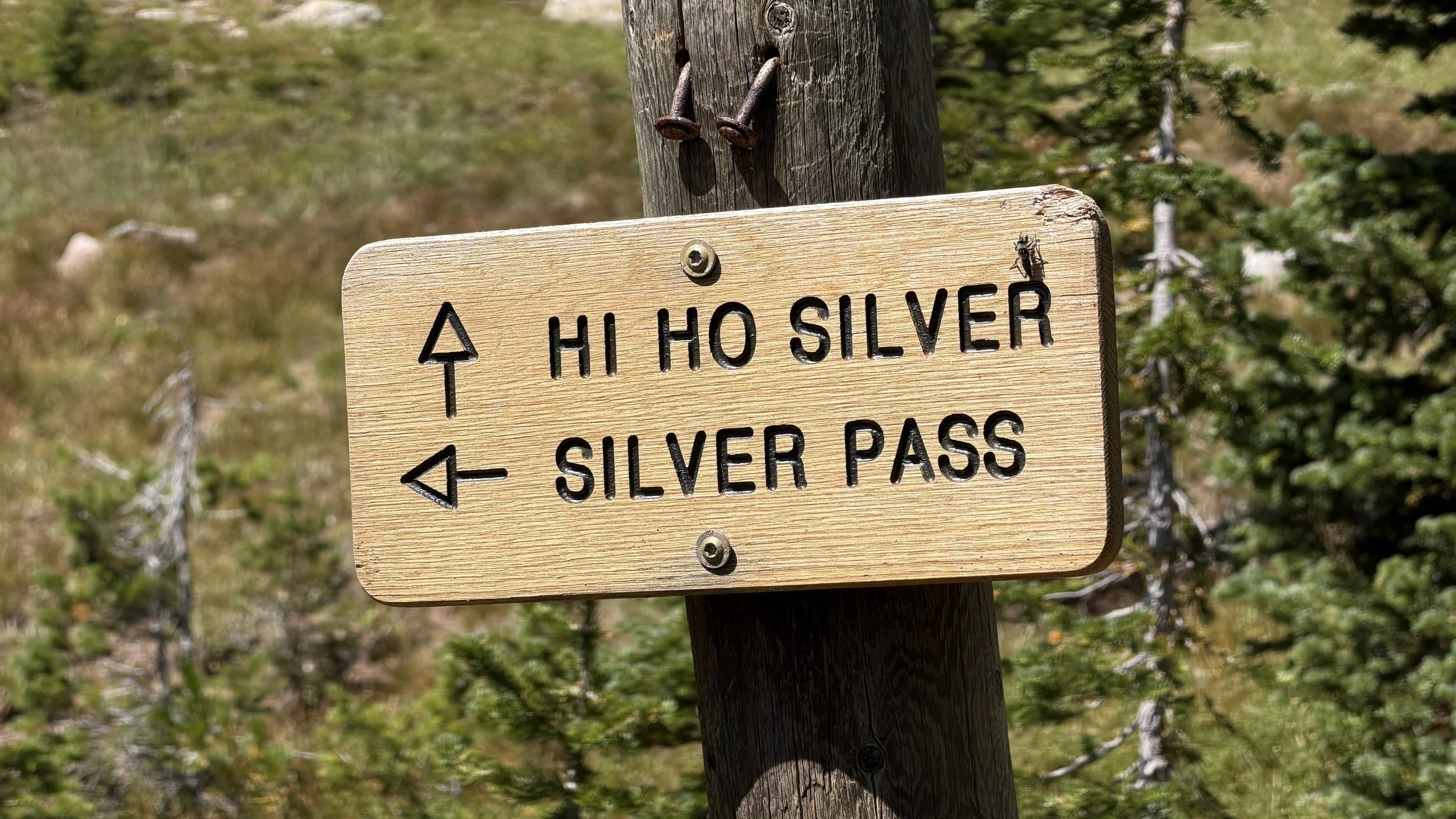 Four-night Backpacking June 20-26
