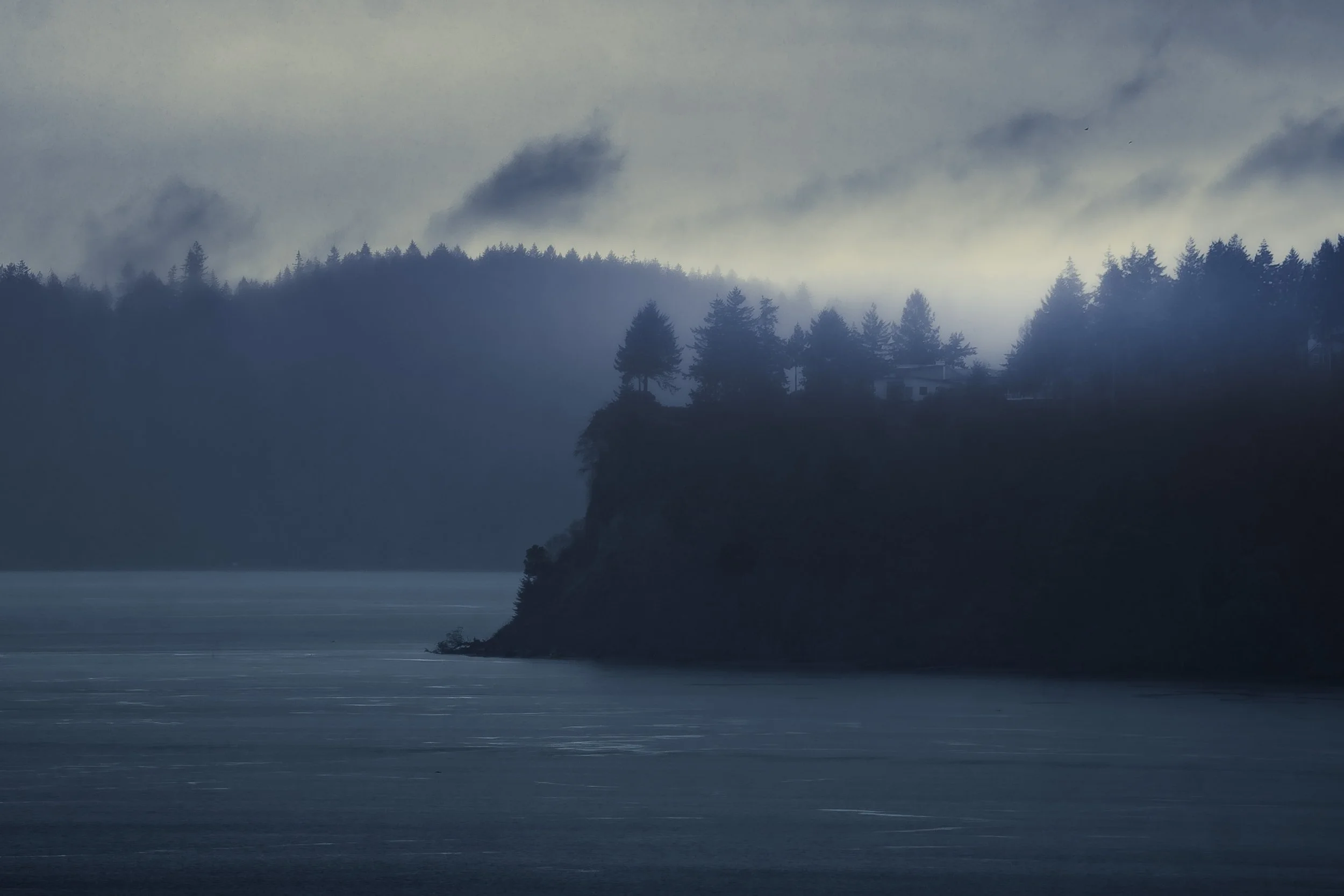 A foggy landscape featuring a body of water in the foreground, and a forested hillside with trees and a small house in the distance, enveloped in thick mist.