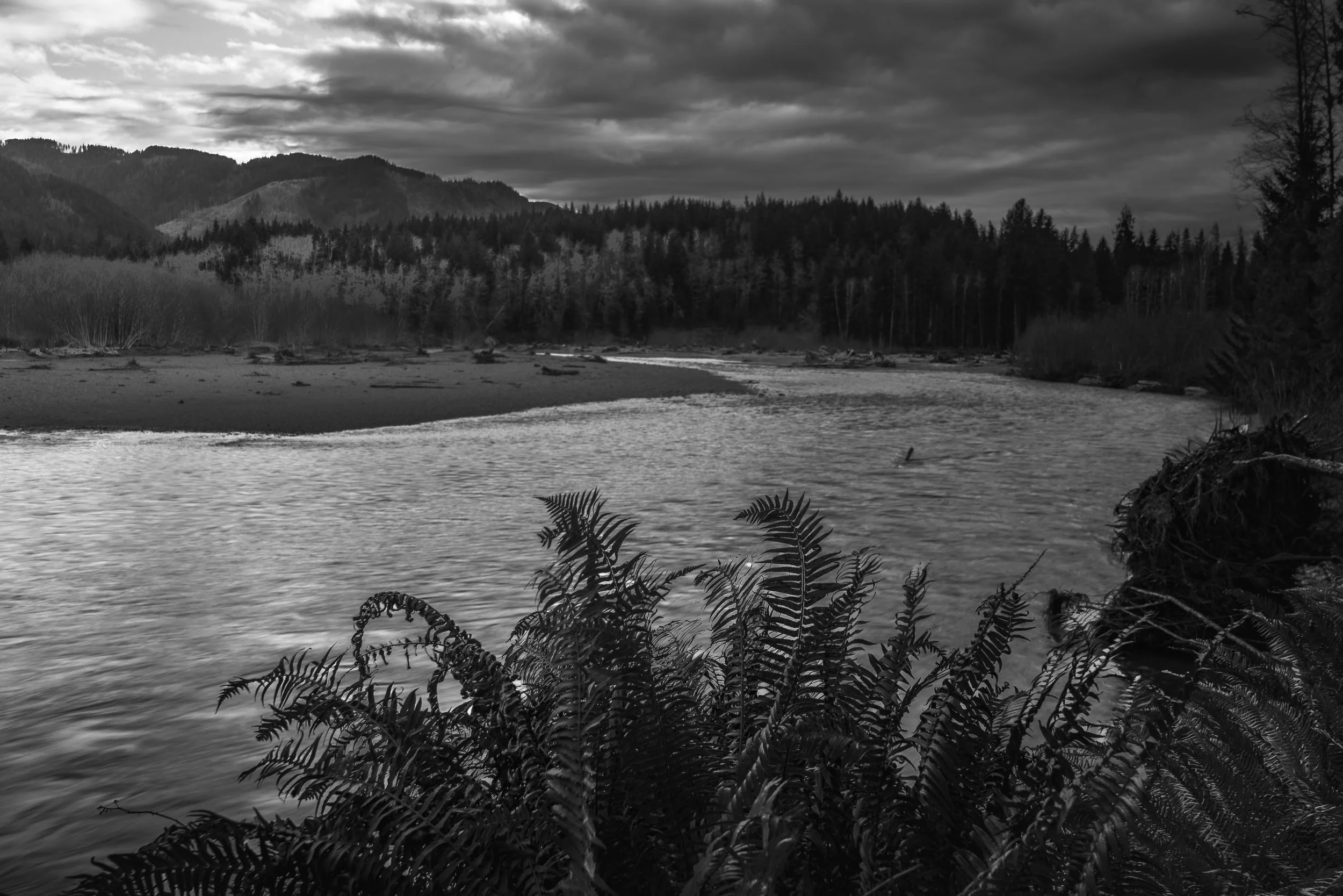Black-and-white view of the Hoh River curving past a gravel bar beneath dark clouds and forested hills.