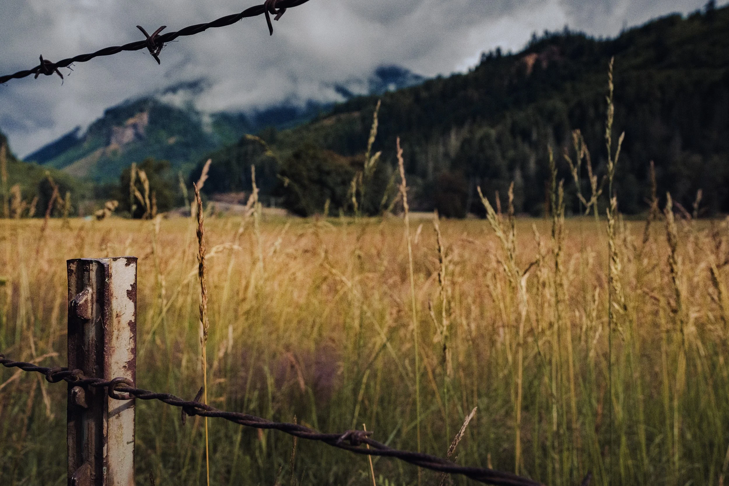Close-up of a rusty barbed wire fence post in a field of tall grass, with a mountain range and cloudy sky in the background.
