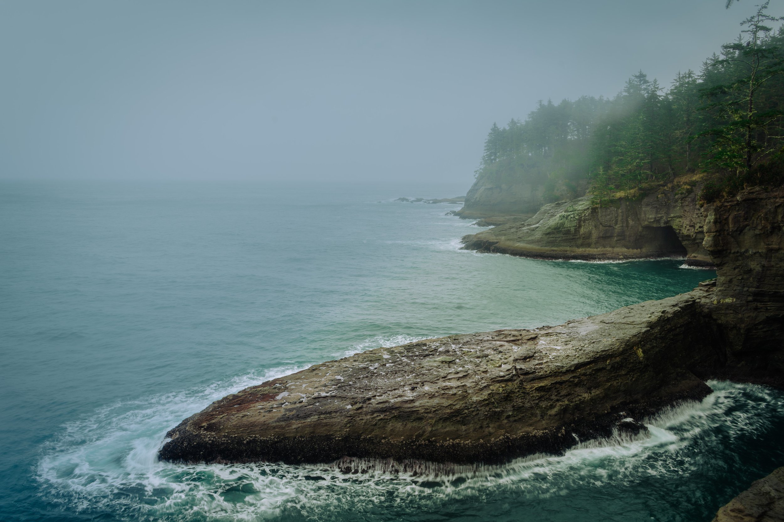 Coastal scene with rocky cliffs covered in trees, ocean waves crashing against the rocks, and foggy sky.